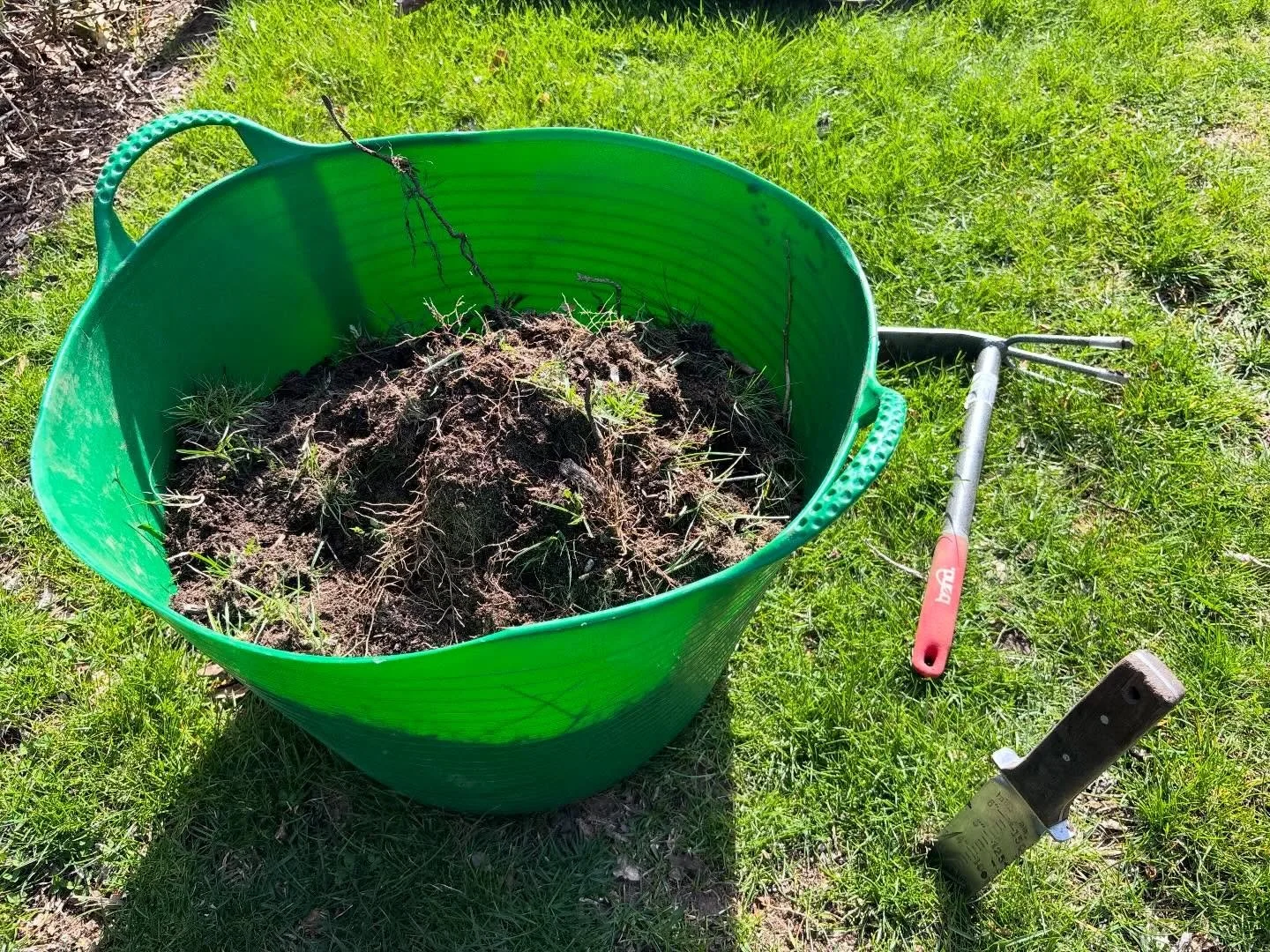 Back in the office on a beautiful day.