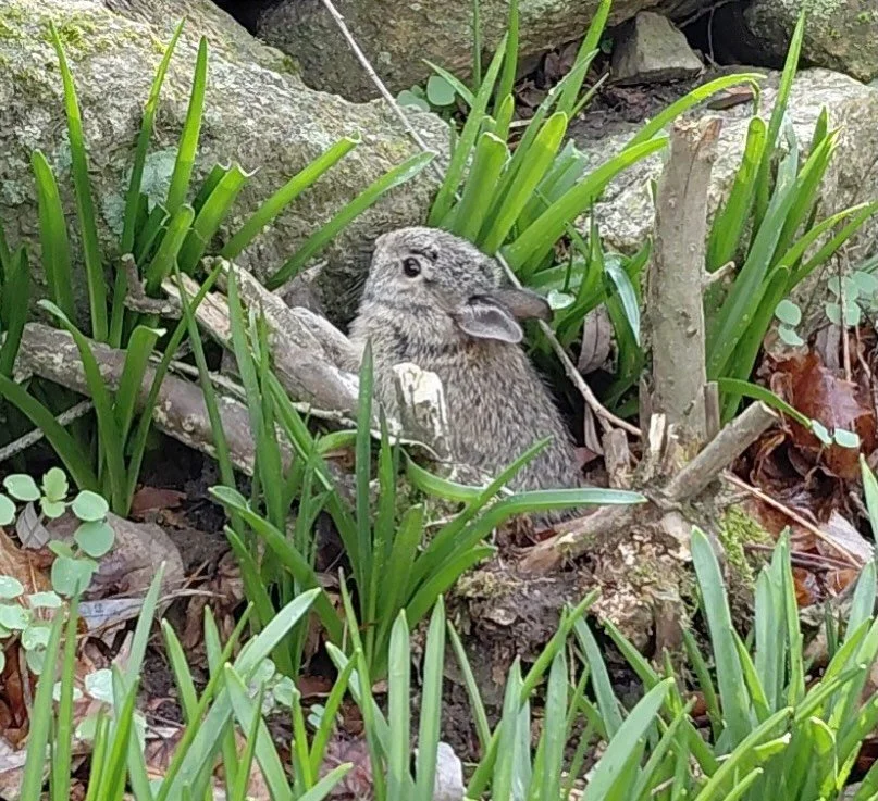 Always making little friends, everywhere we go&hellip;