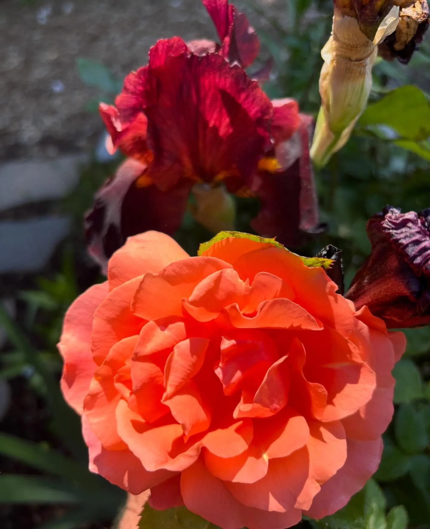 Happy sunny Sunday!