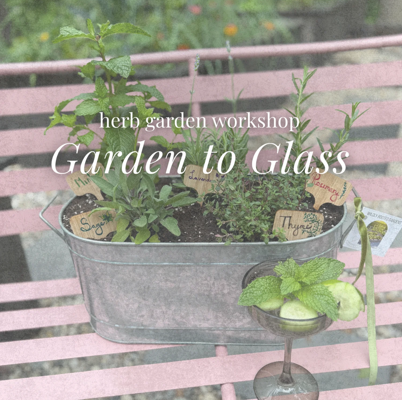 Garden to Glass