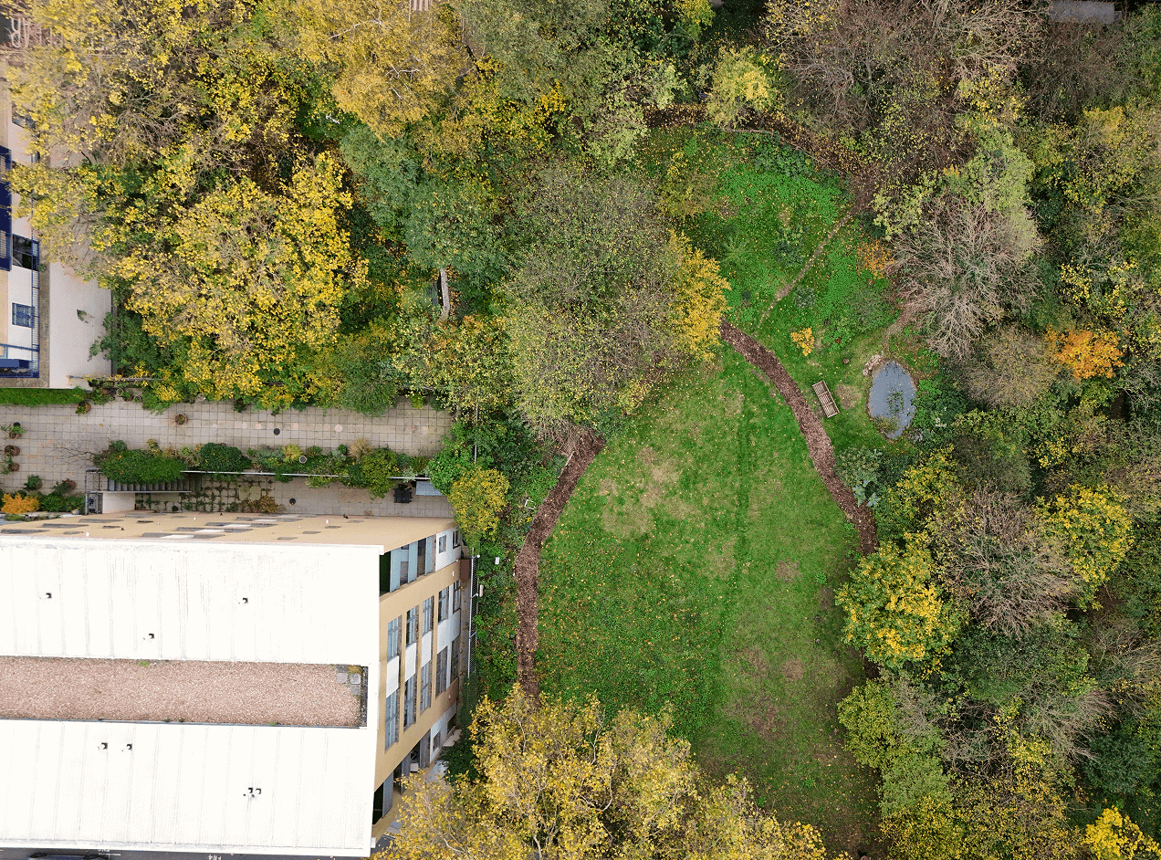 An aerial view of a city park with trees, grass, a small pond, and a bench, surrounded by residential and commercial buildings.