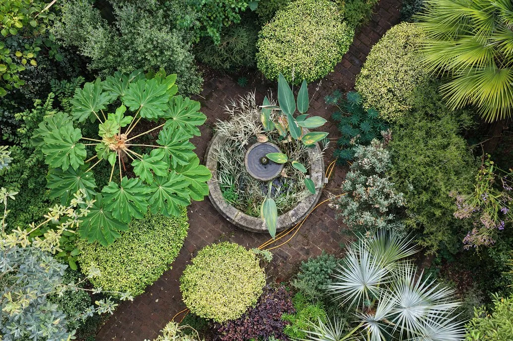 Aerial view of a lush green garden with various tropical and ornamental plants surrounding a small fountain on a brick pathway.