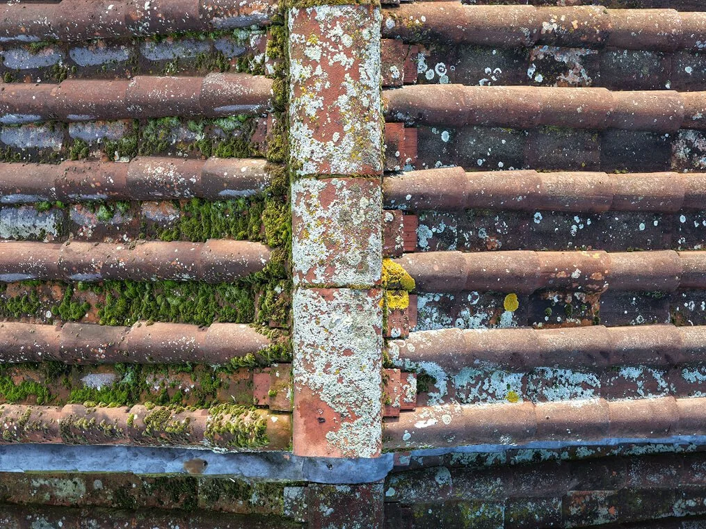 Image of slates on Church Roof