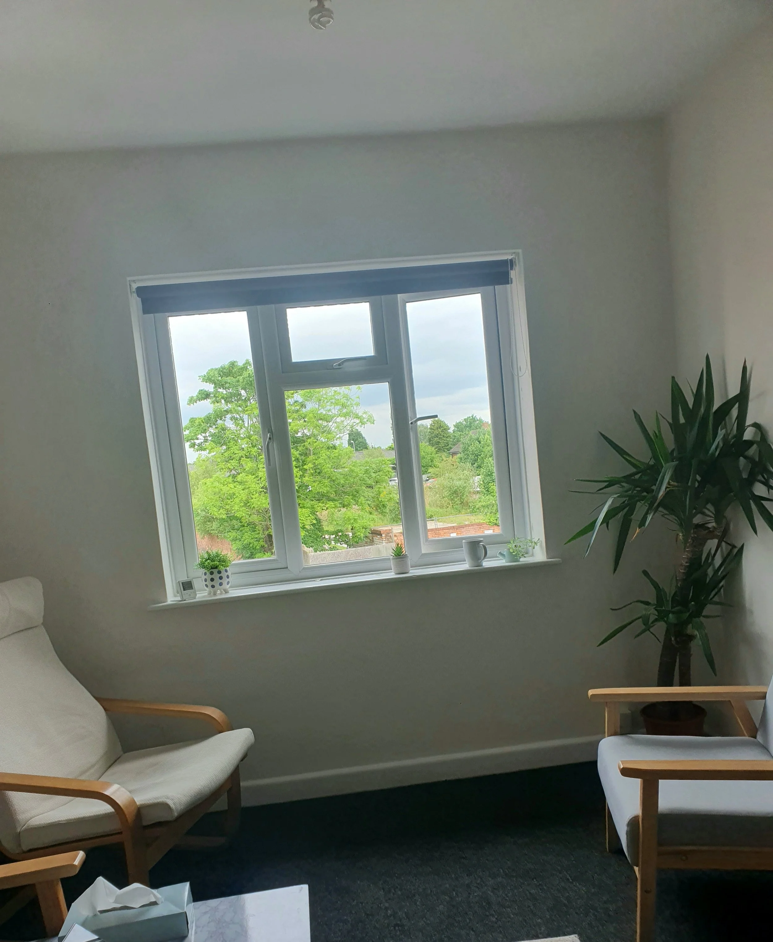A room with a window showing trees and a cloudy sky outside, two wooden chairs with white cushions, a tall potted plant, and small decorative items on the windowsill.