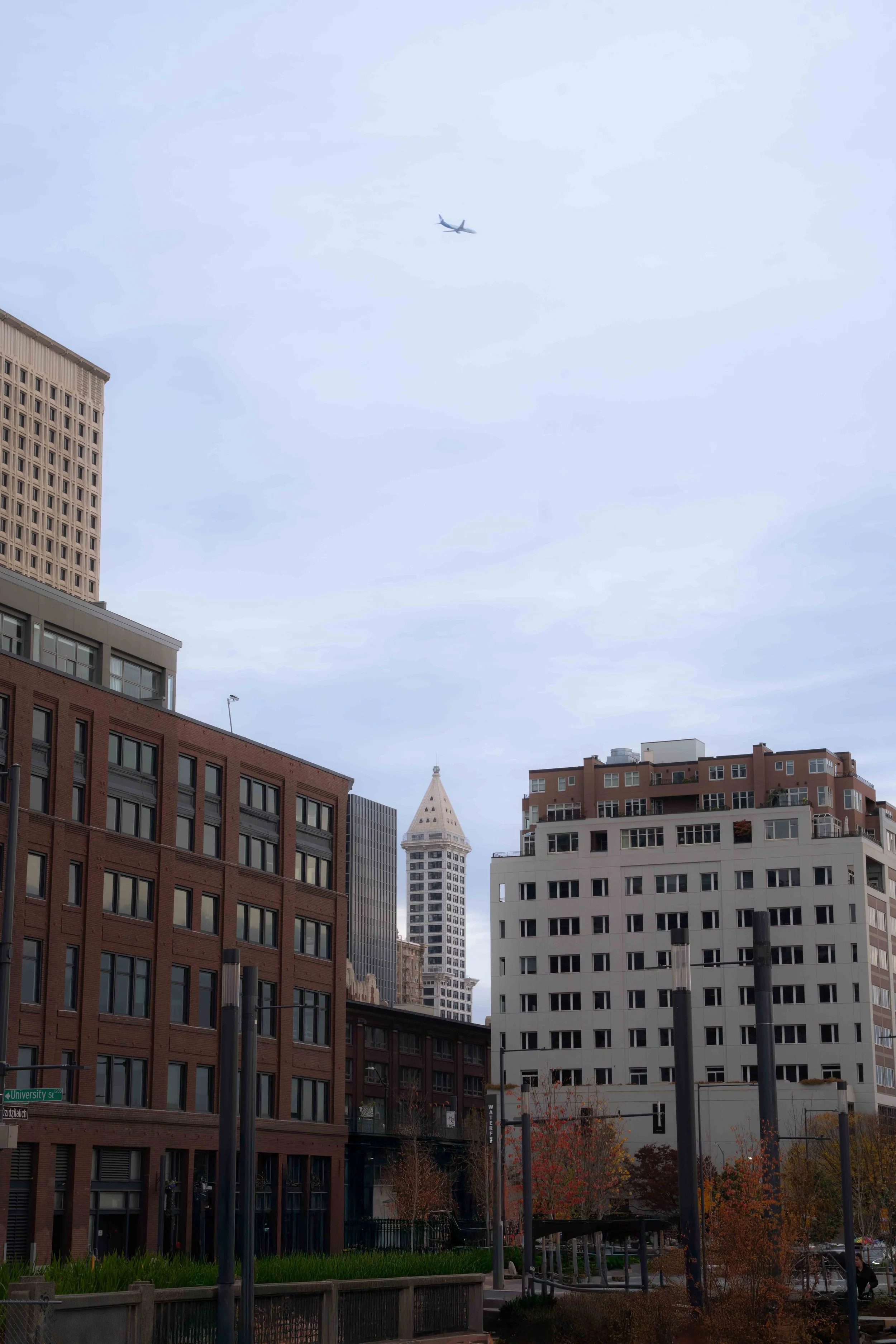 Seattle_November 2024 (1 of 1)-56.jpg