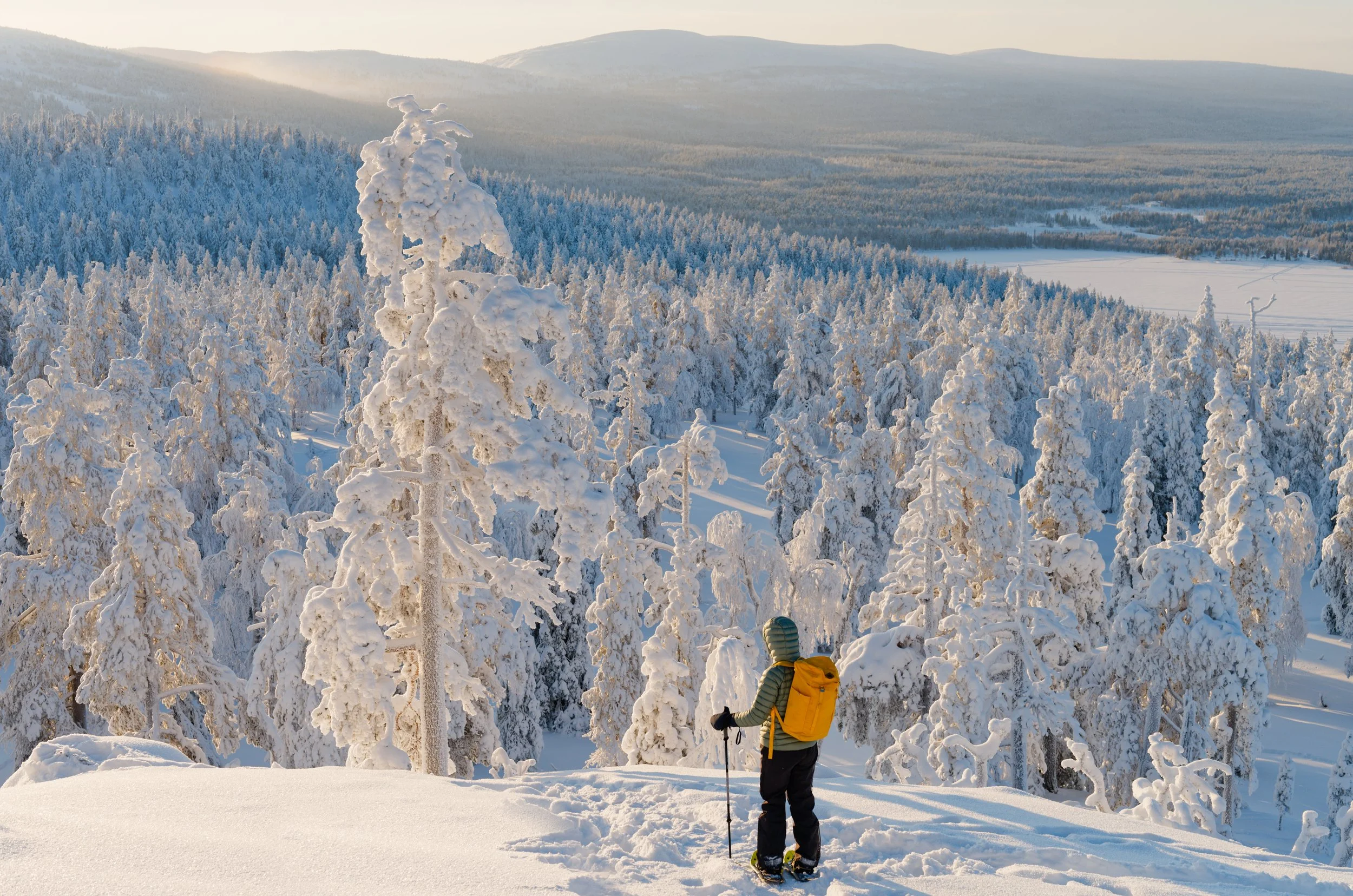 An adventure in Finnish lappland. Trekking through the snowy forests and fjells of Northern Finland.