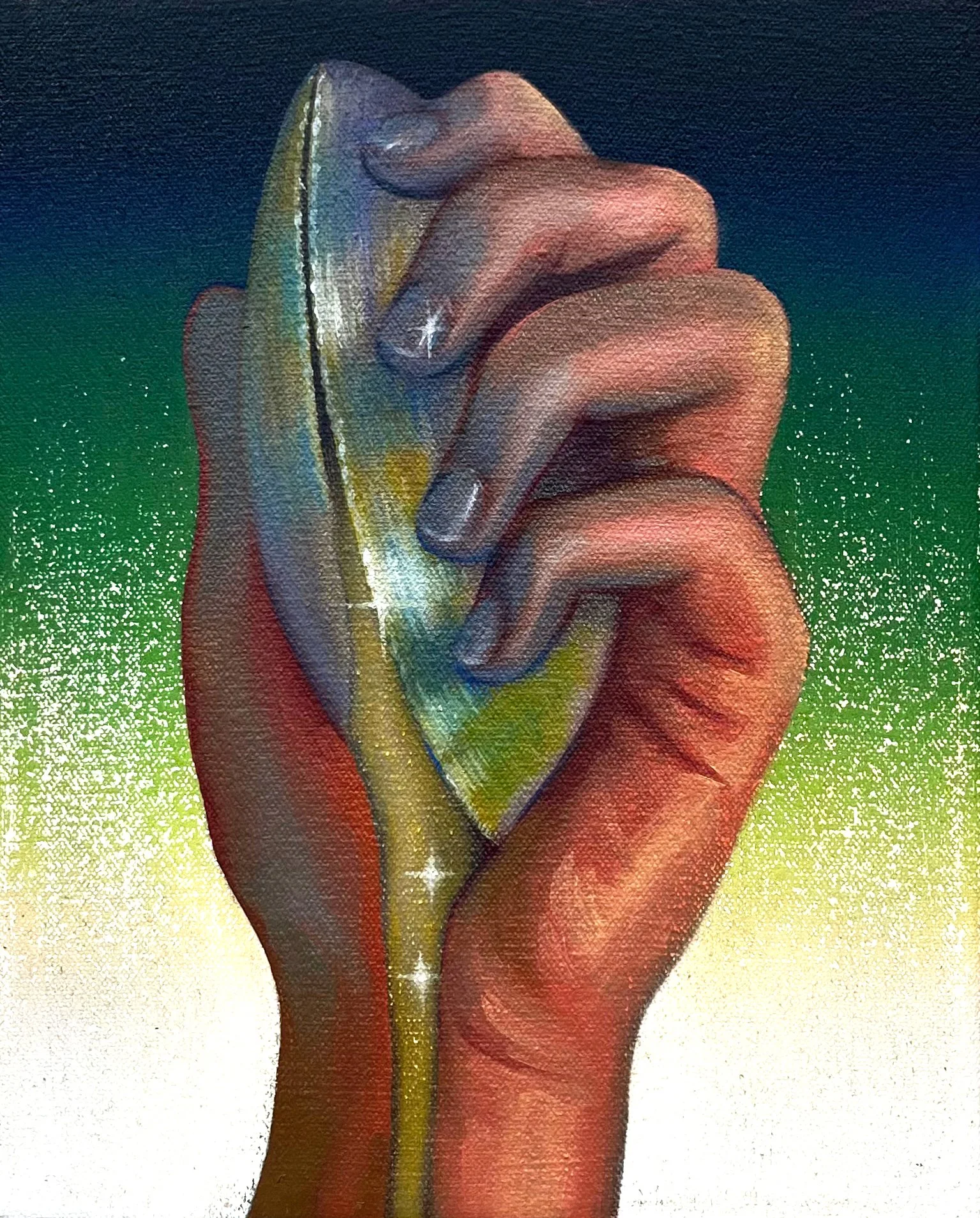 20255 shell.jpg