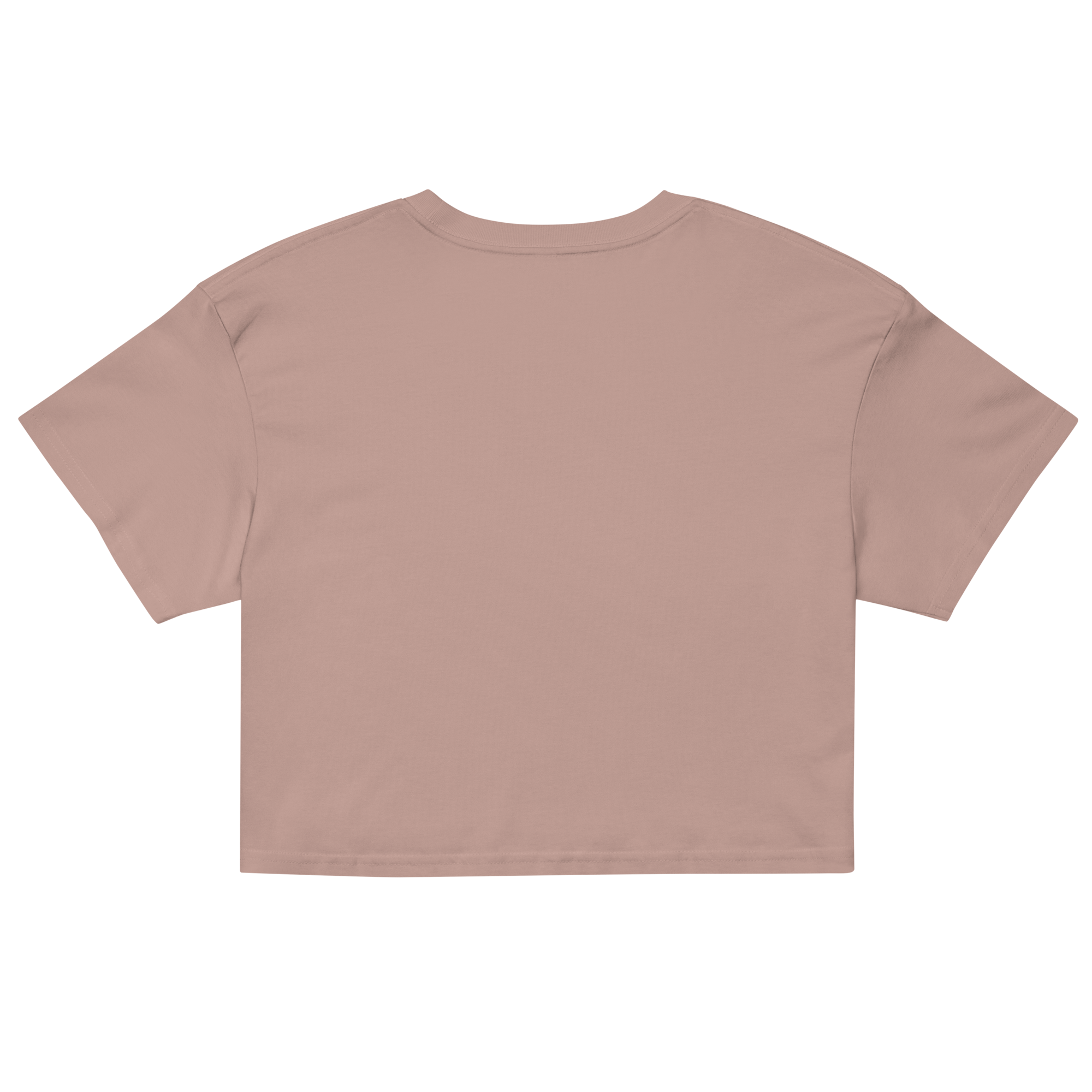 womens-crop-top-hazy-pink-back-679bc6656b92e.png