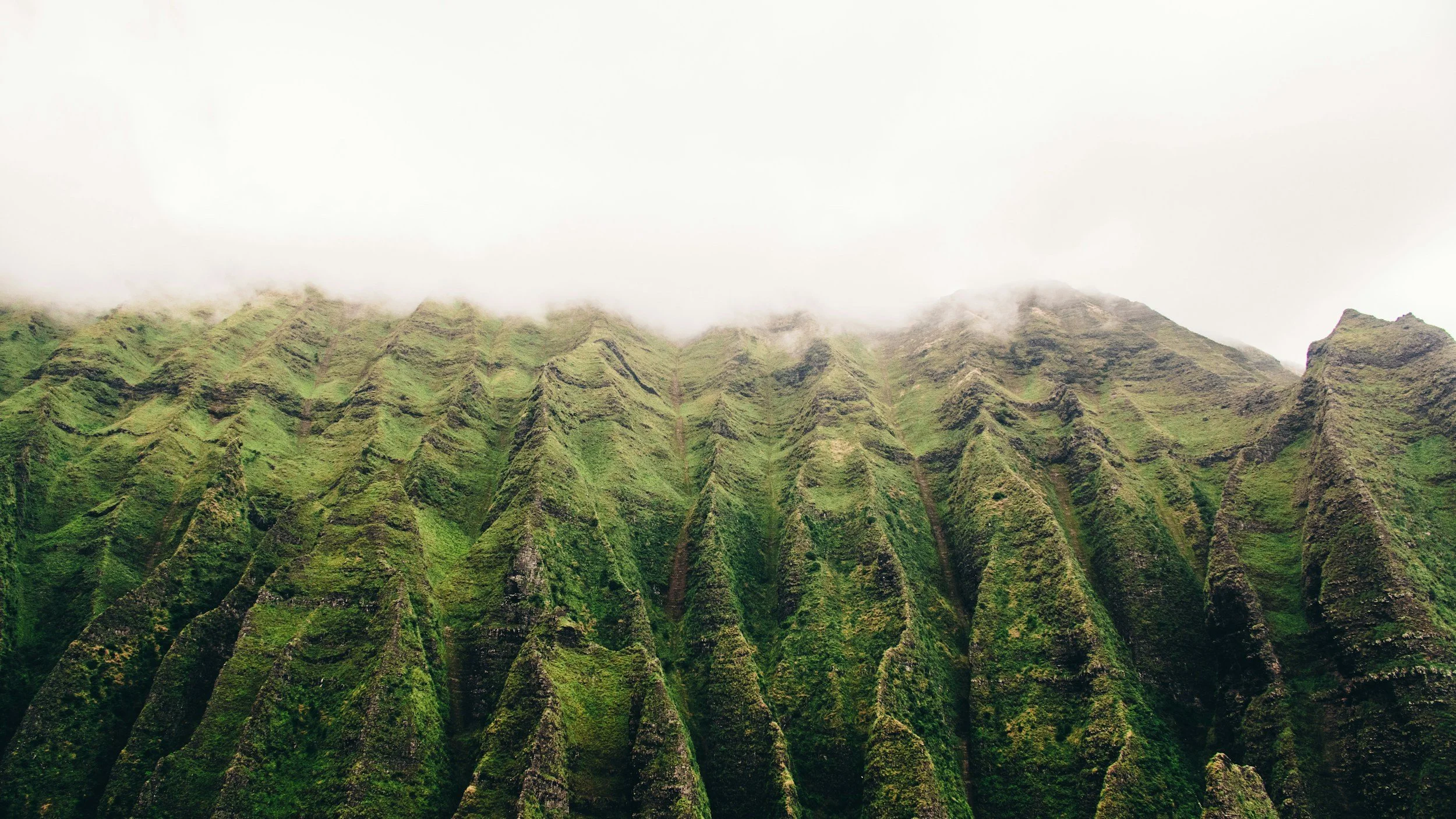 Green mountain ridges covered with moss and grass, shrouded in fog at the top.