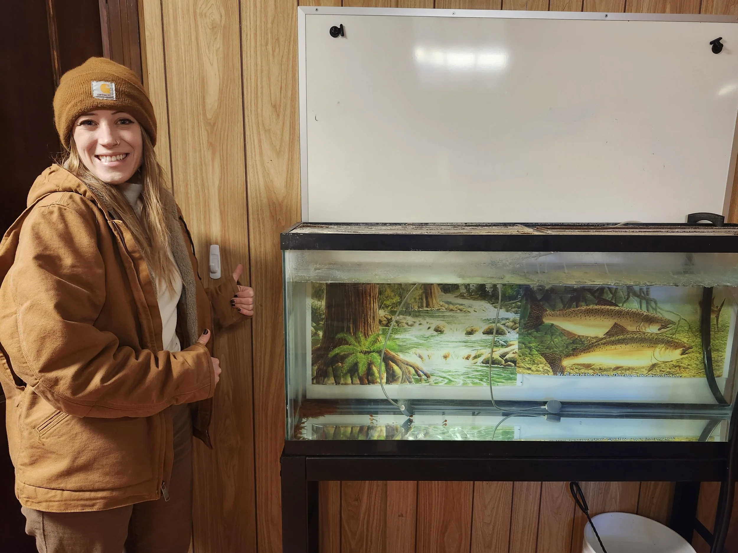 Salmon Tank Stewards