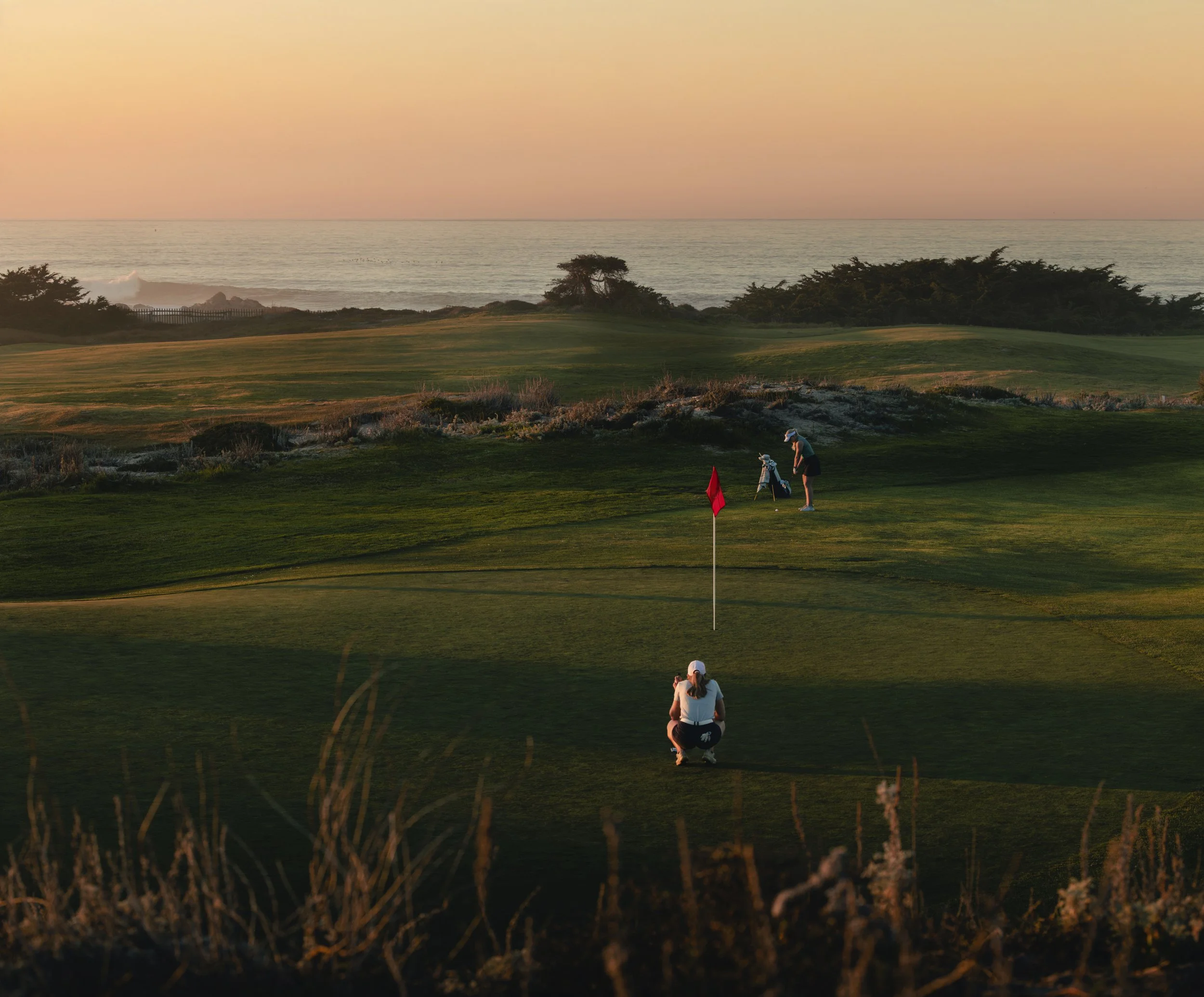 20250401_Hero_ROD_7152_RGB (1).jpg