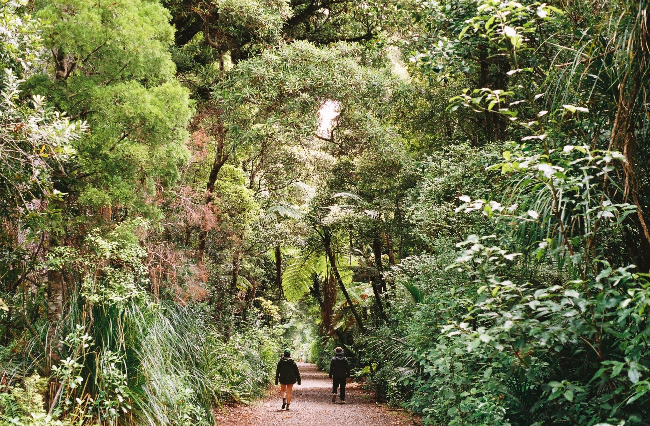 5535000_5535000-R1-020-8A.jpeg