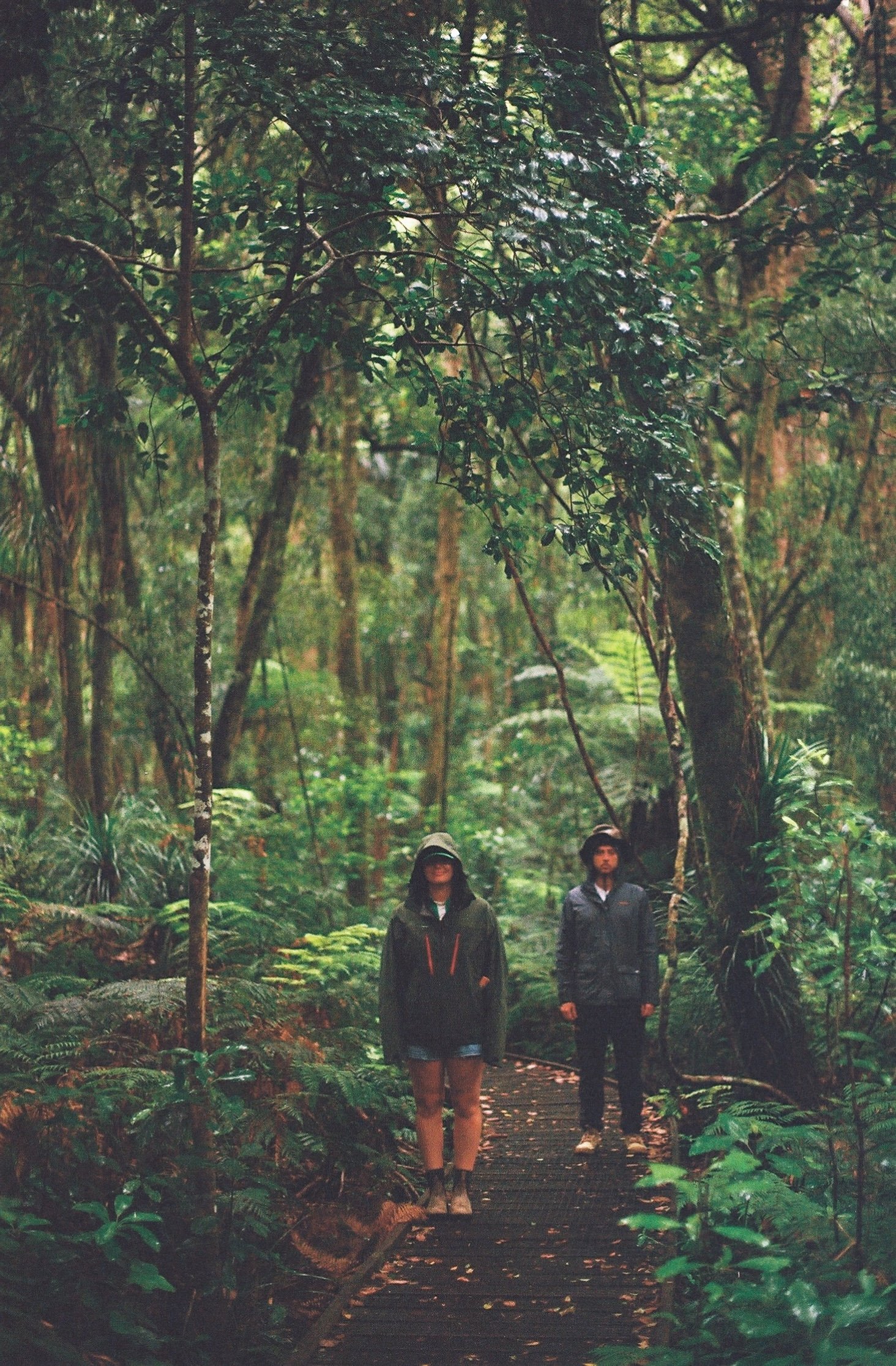5535000_5535000-R1-010-3A.jpeg