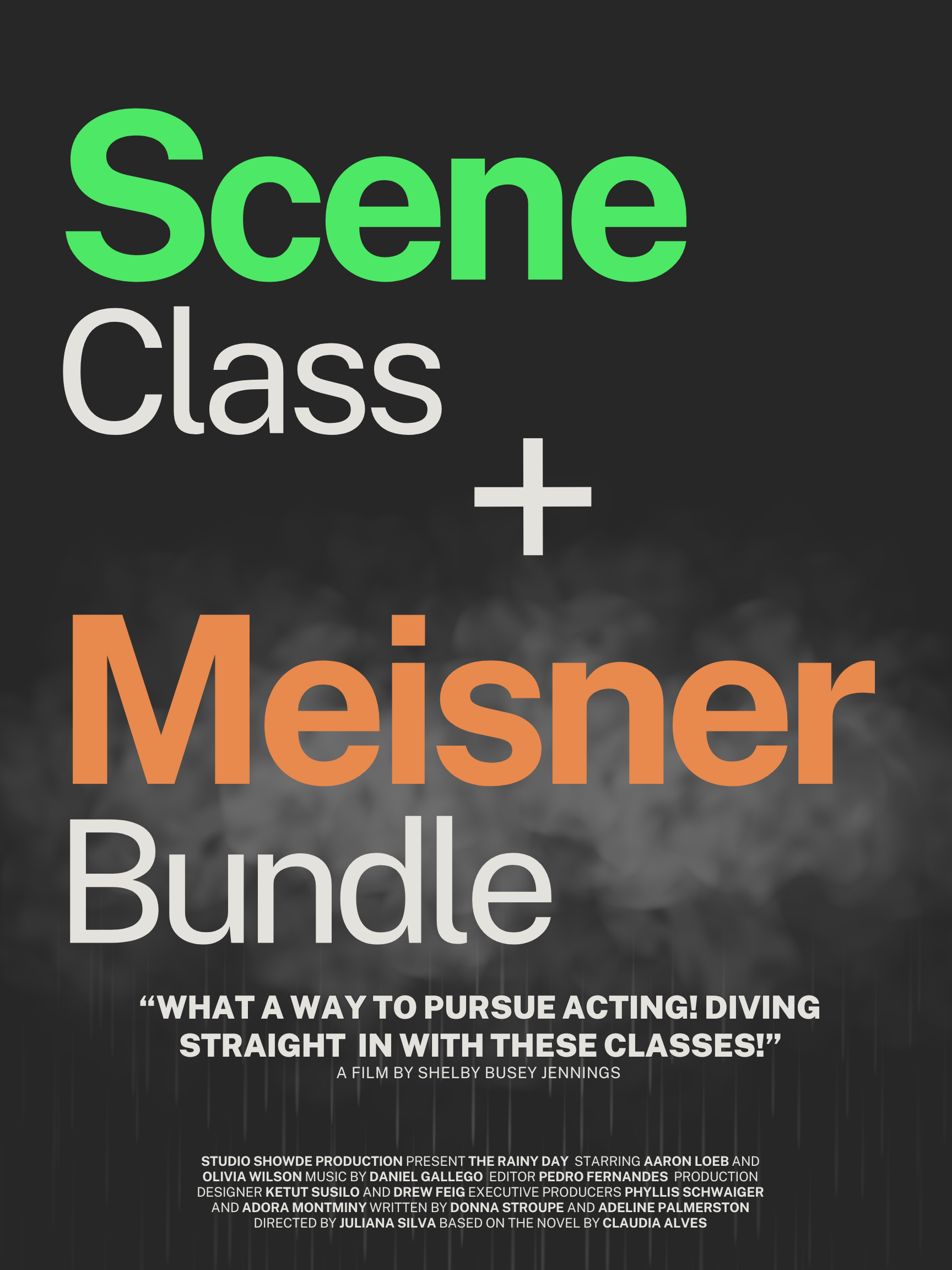 Acting Training, classes, class, studio, meisner technique, scene study