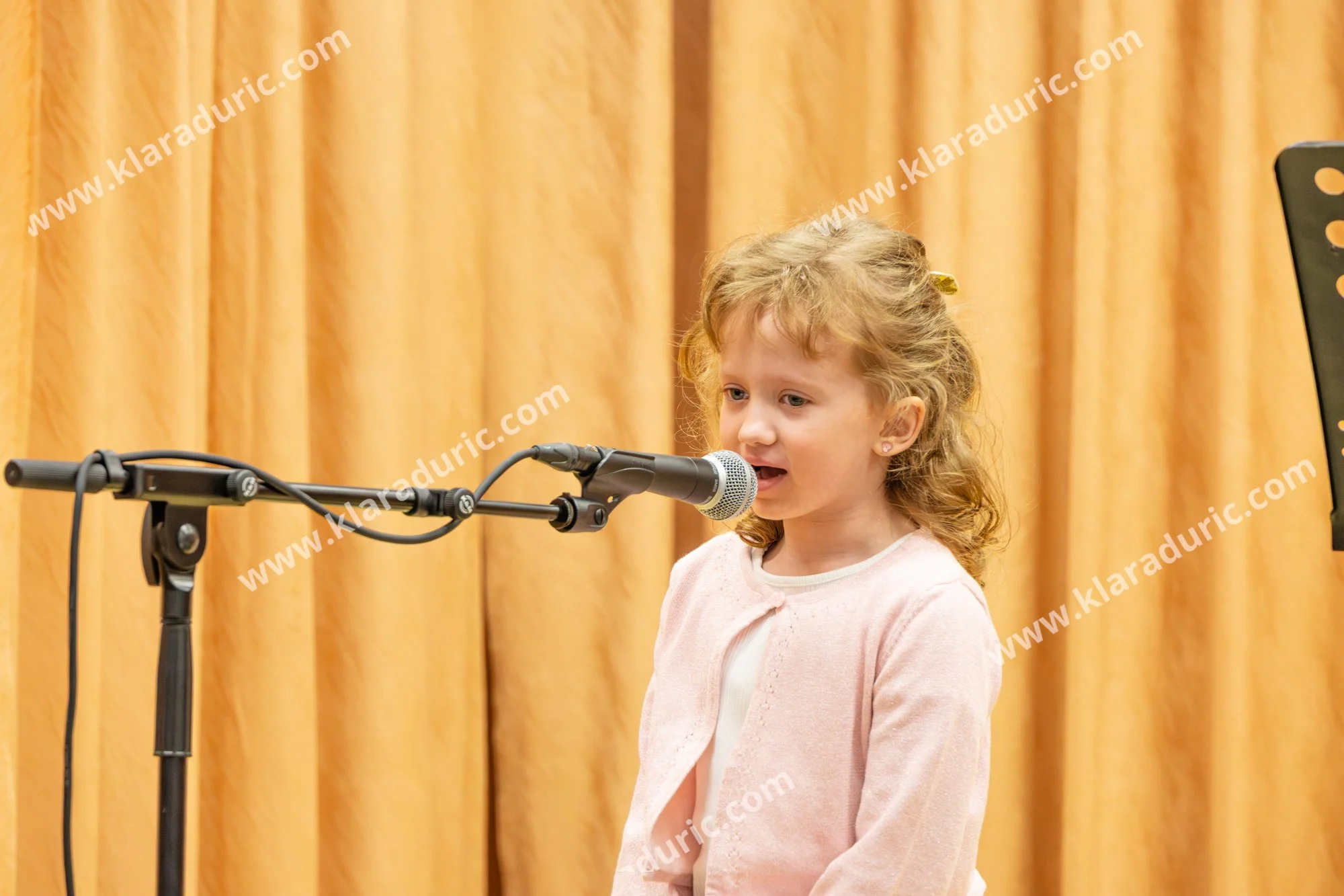 RAZSTAVA VEZENIN LIPOVCI / 28.3.2026