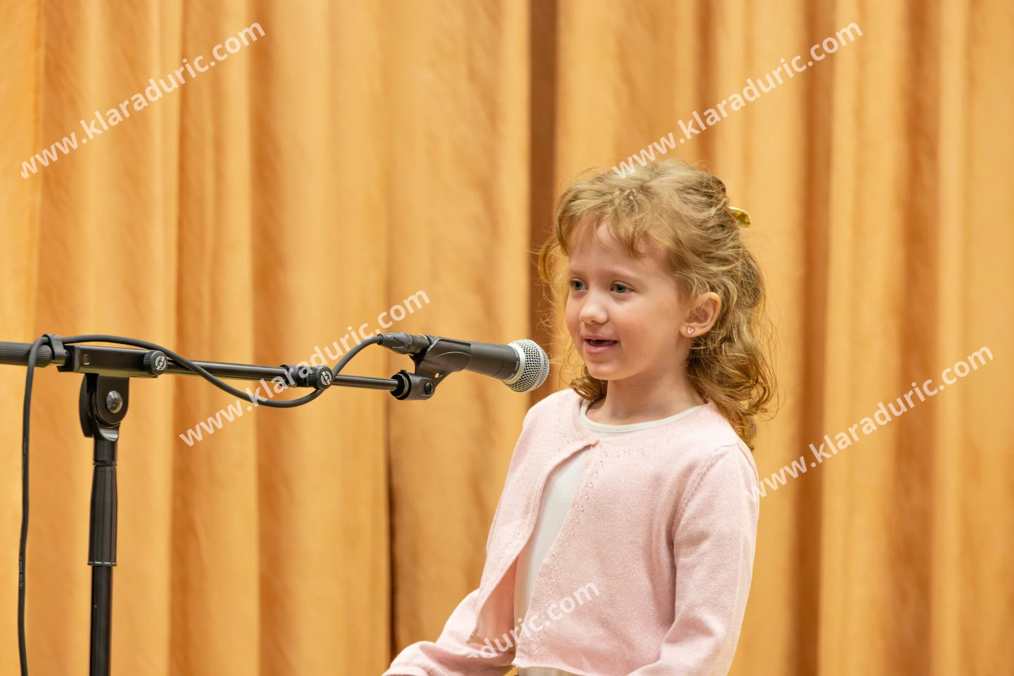 RAZSTAVA VEZENIN LIPOVCI / 28.3.2026