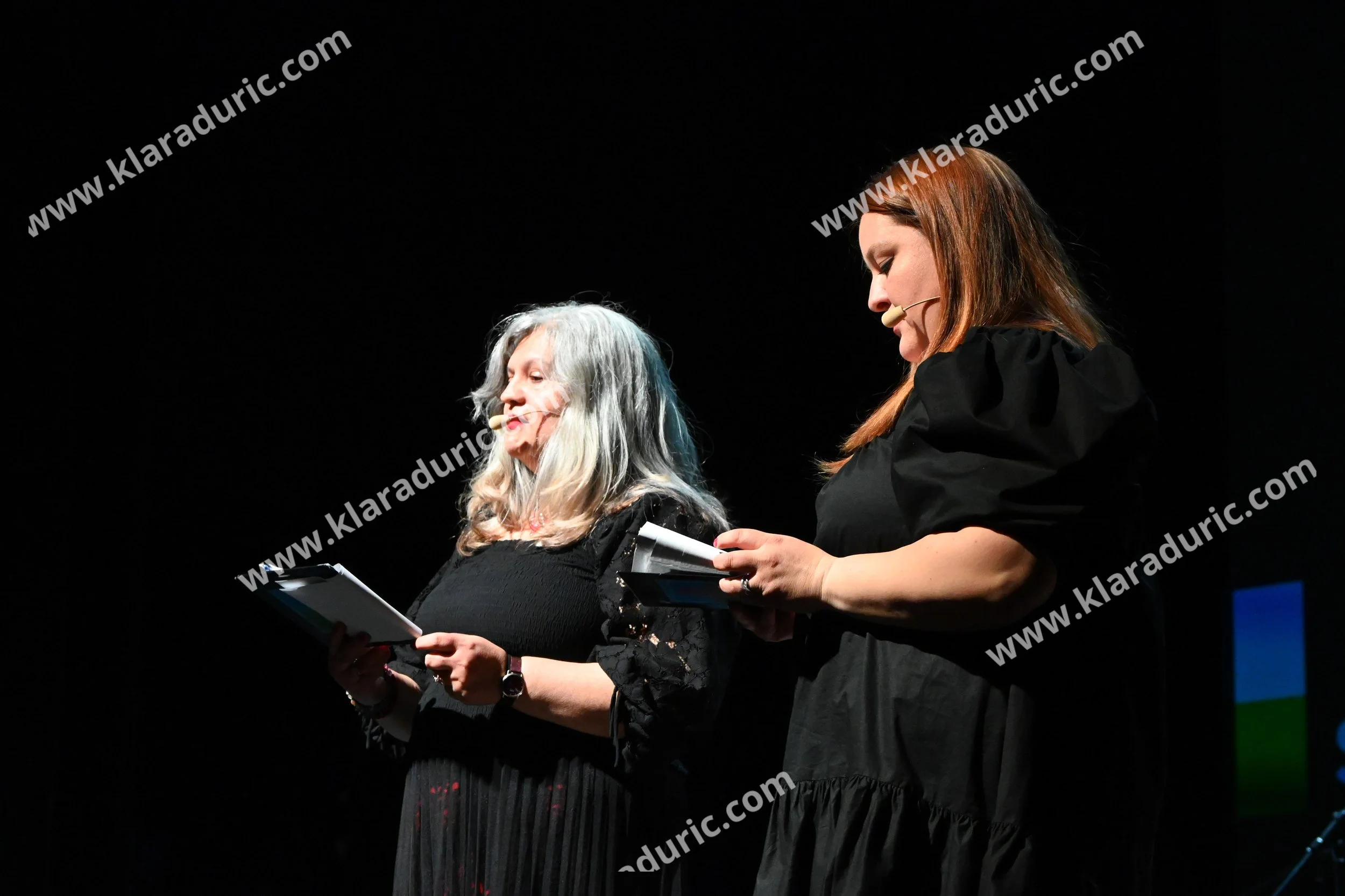 DAN ROMOV, MURSKA SOBOTA, 2025