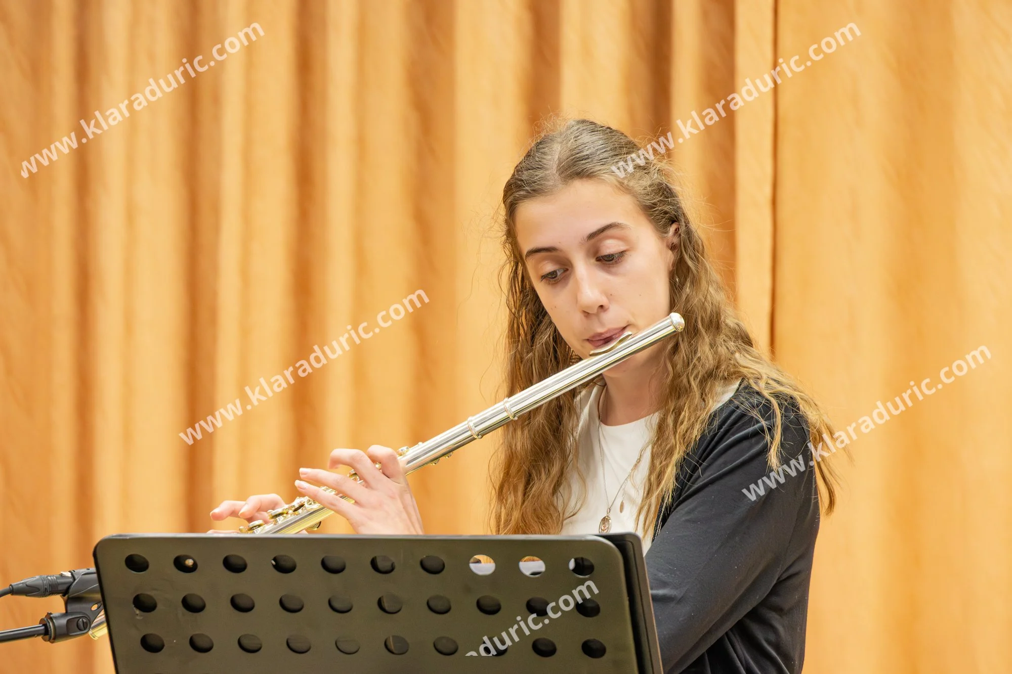 RAZSTAVA VEZENIN LIPOVCI / 28.3.2026