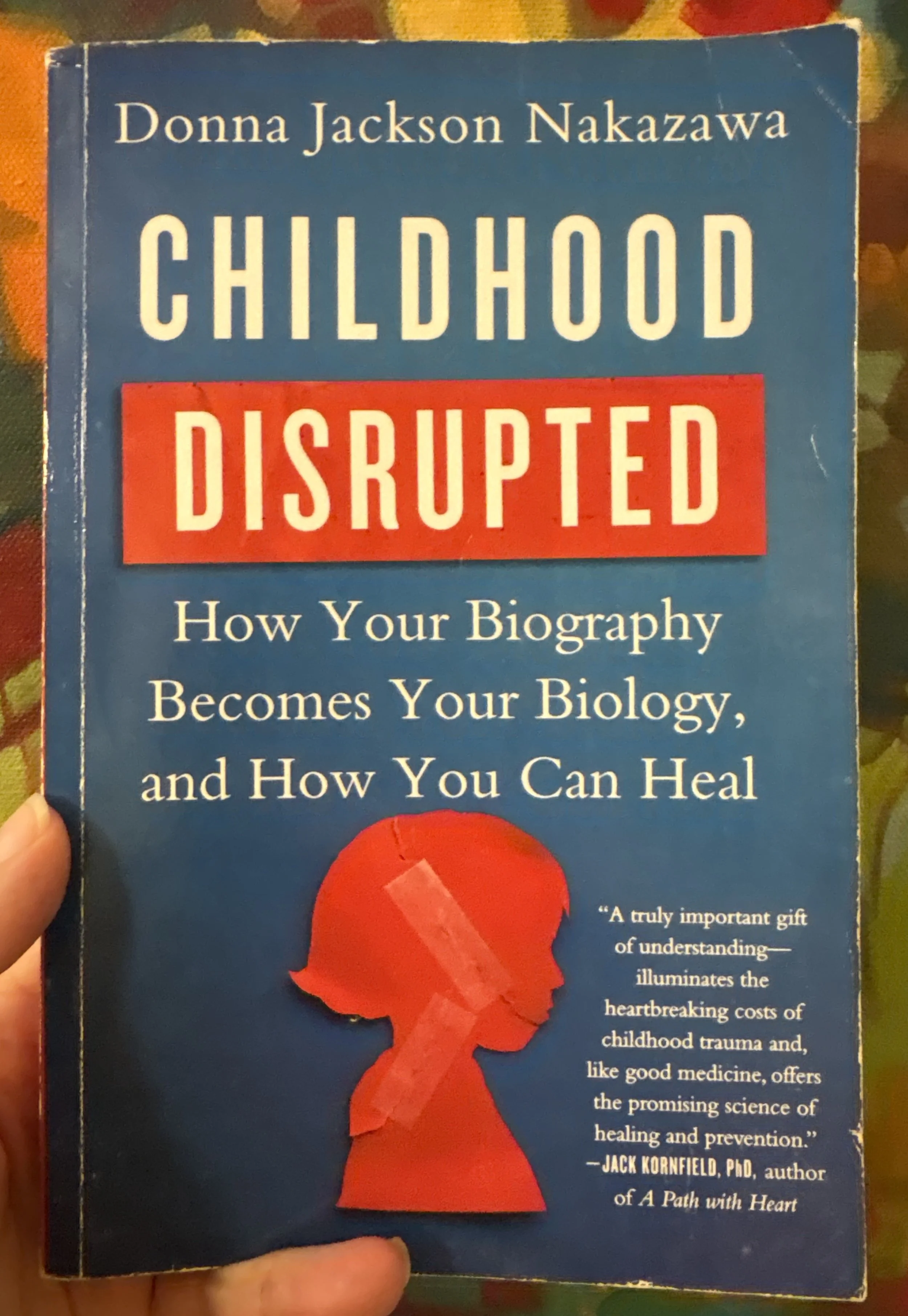Book cover for Childhood Disrupted by Donna Jackson Nakazawa
