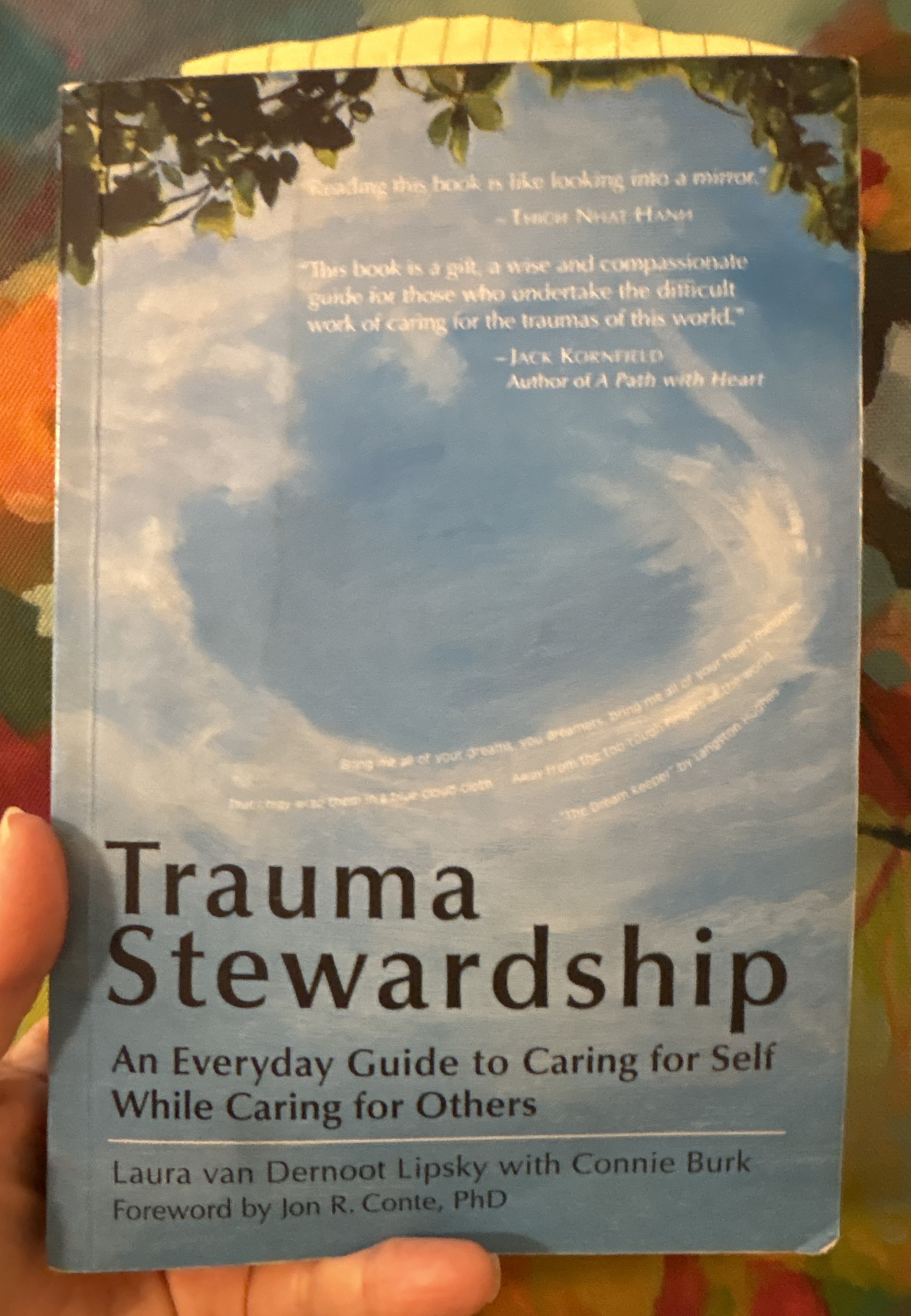 The back cover of a book titled 'Trauma Stewardship: An Everyday Guide to Caring for Self While Caring for Others' by Laura van Dernoot Lipsky with a foreword by Jon R. Conte, PhD. The cover features a blue sky with clouds and some leaves in the top left corner.