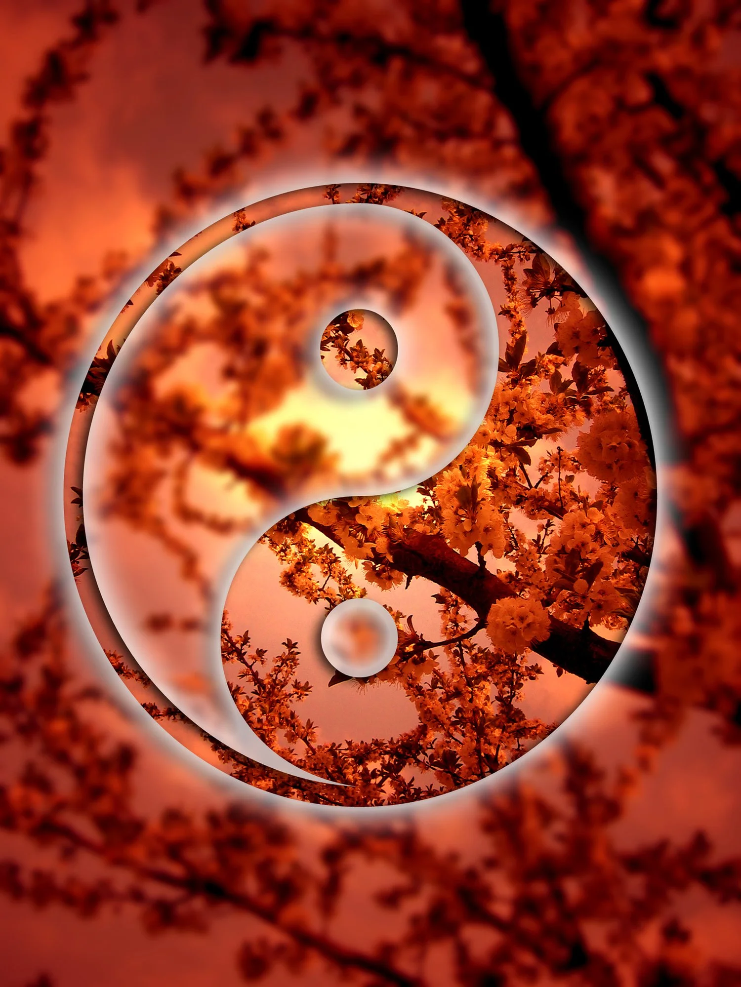 Qigong Class Balancing of Yin &amp; Yang