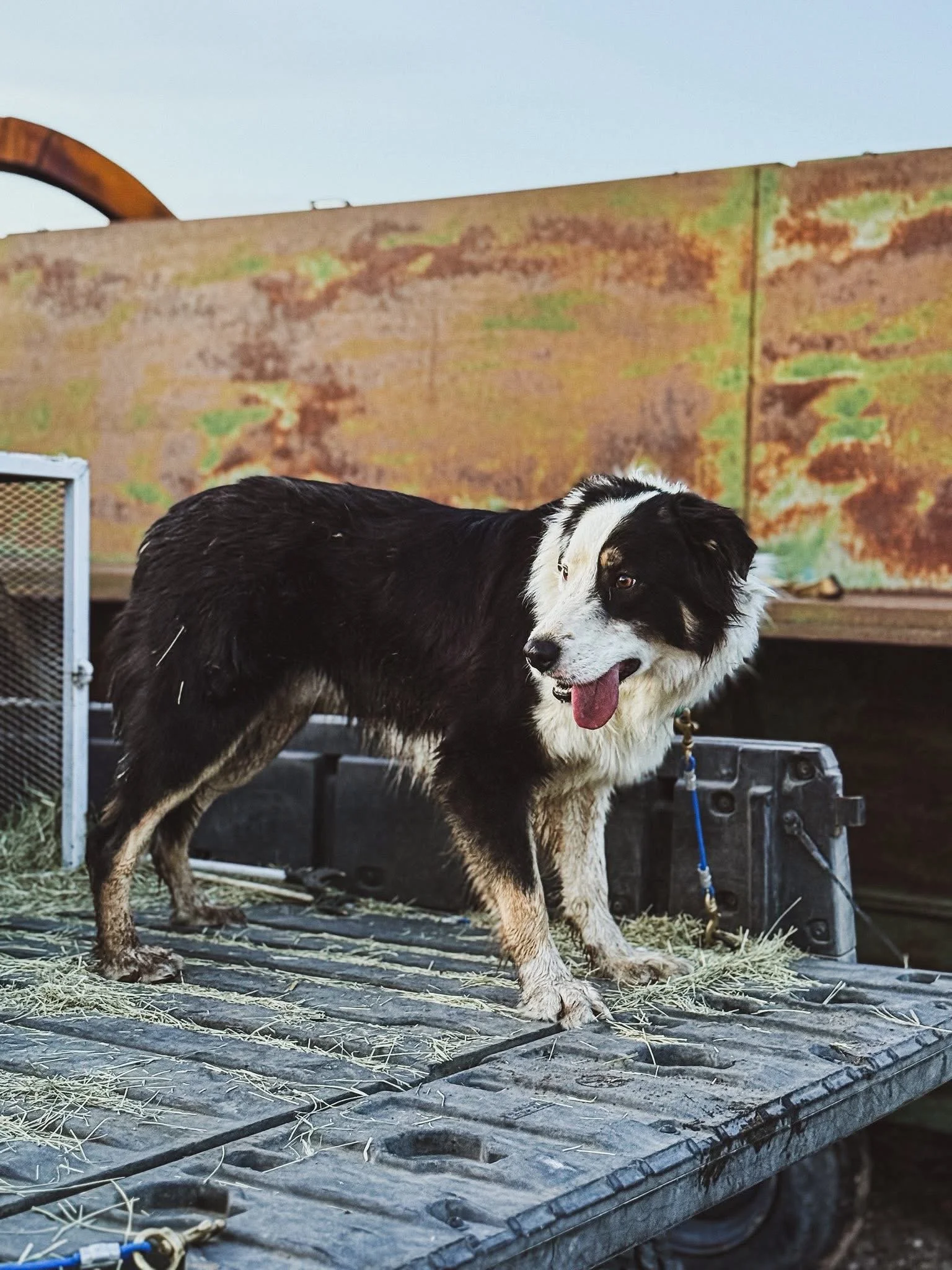 Photo Mar 09 2026, 11 00 14 PM.jpg