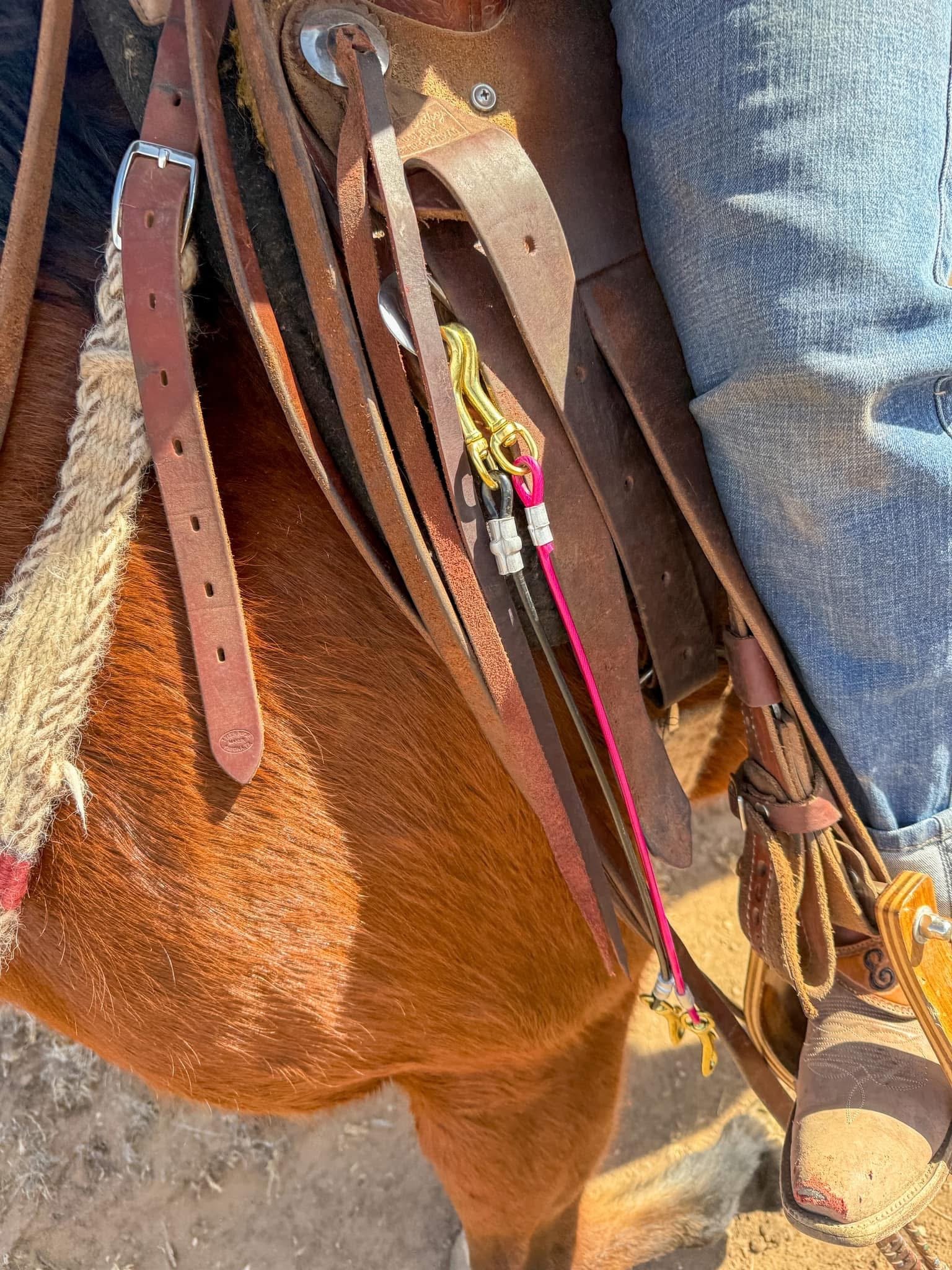 Photo Mar 09 2026, 10 13 56 PM (1).jpg