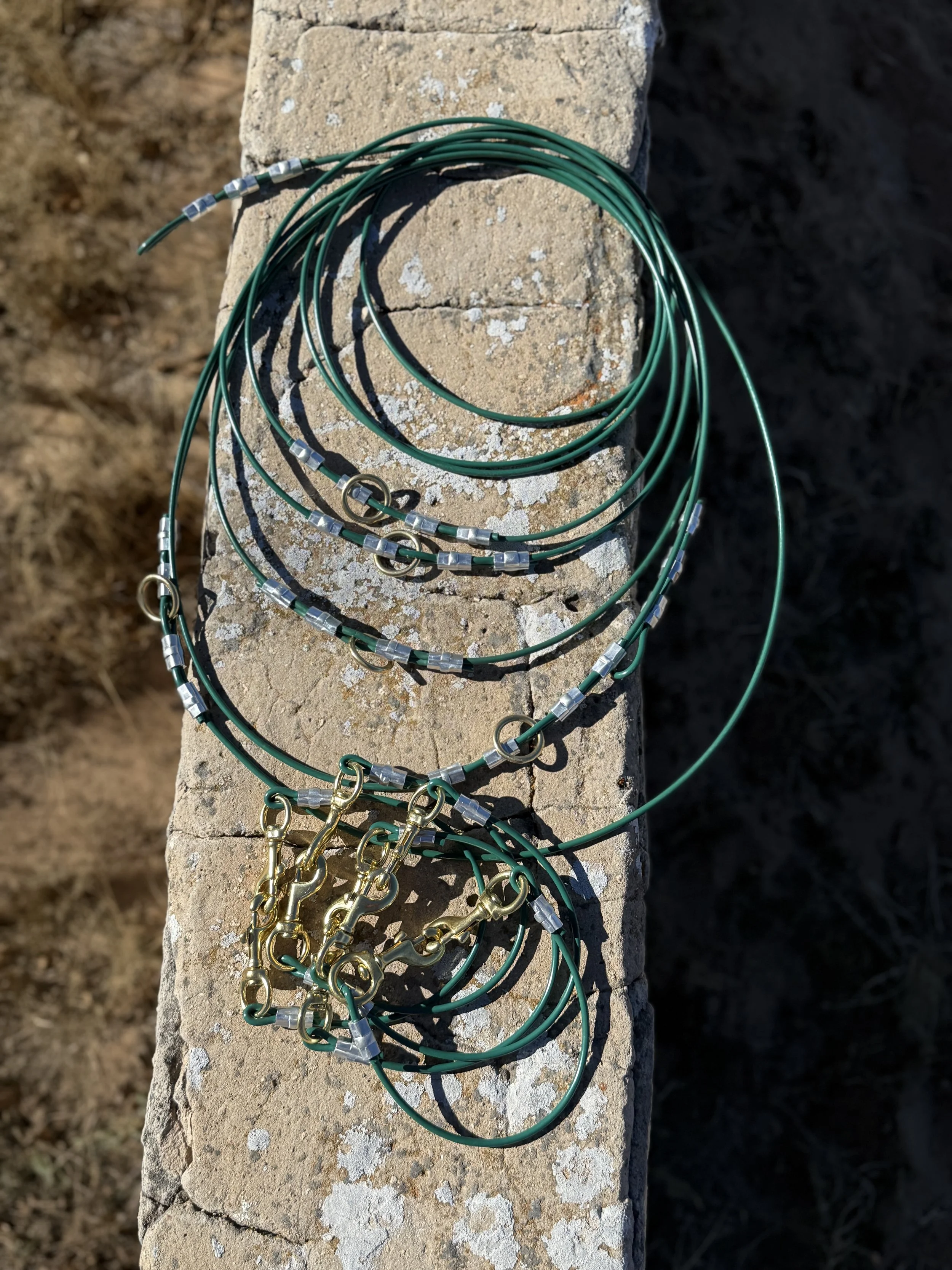 Green w/ Brass Hardware 5 Dog Gang Line (Stakes Included)