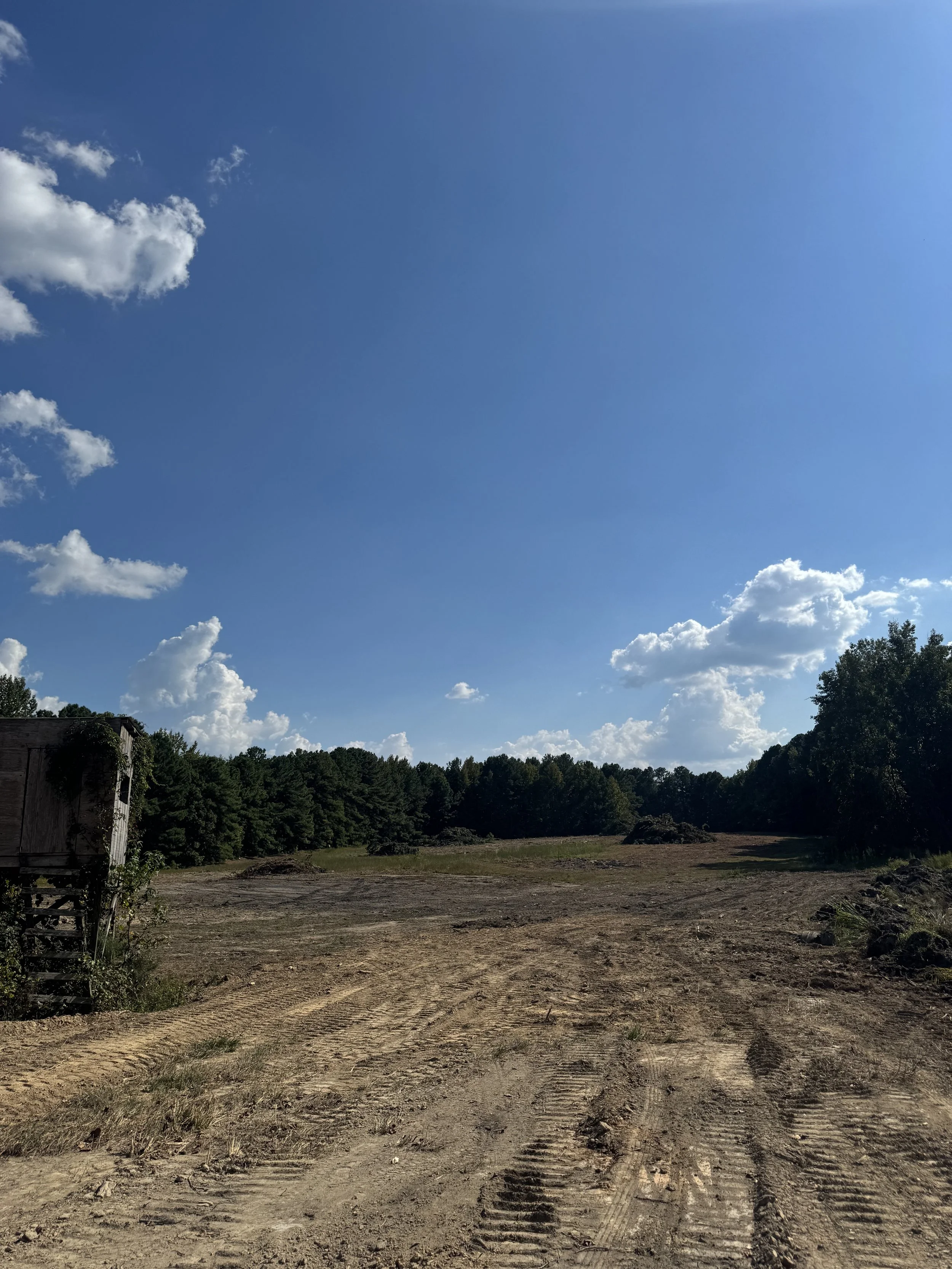 Empty dirt field with tire tracks, trees in the background, and a blue sky with clouds.