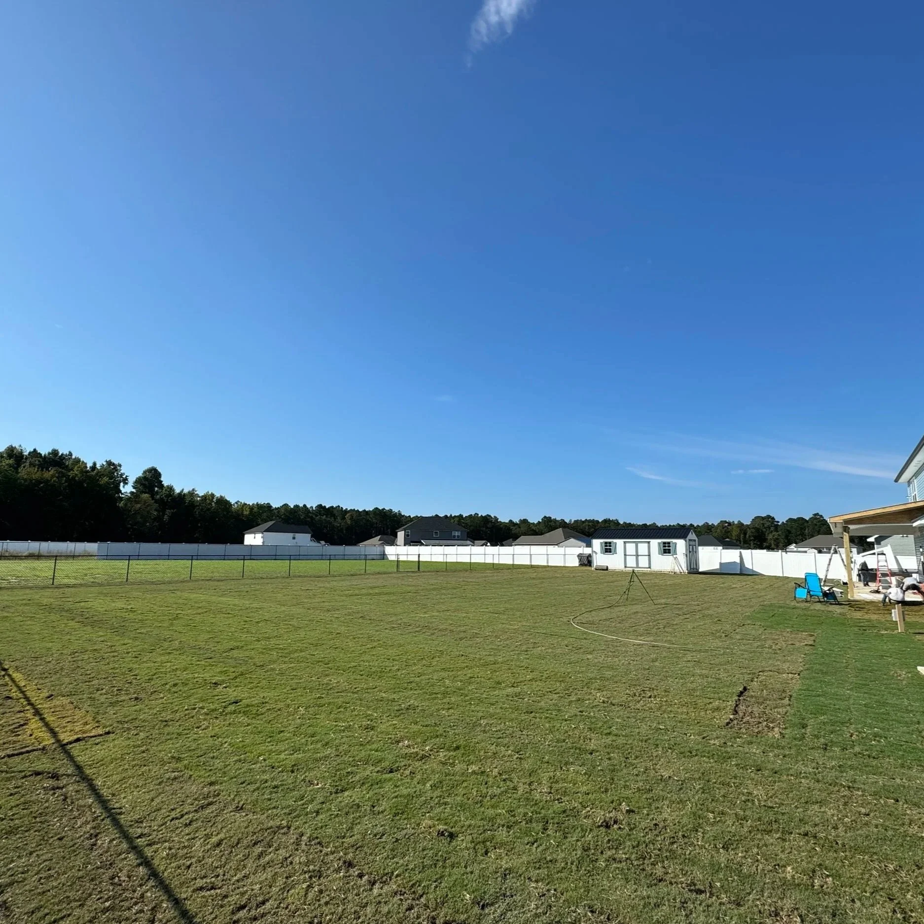 A backyard with a large grassy lawn, a white fence, a small shed, and a house under a clear blue sky.