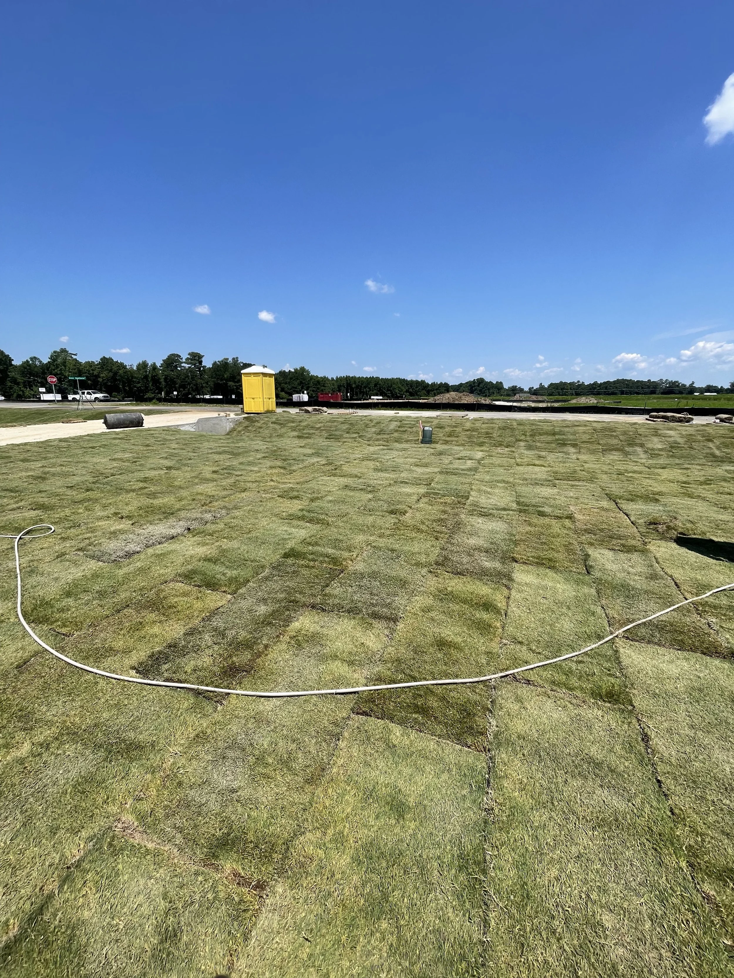 A large area of freshly laid sod grass on a field, with a yellow portable restroom, a water cooler, and rocks in the background under a clear blue sky with a few small clouds.