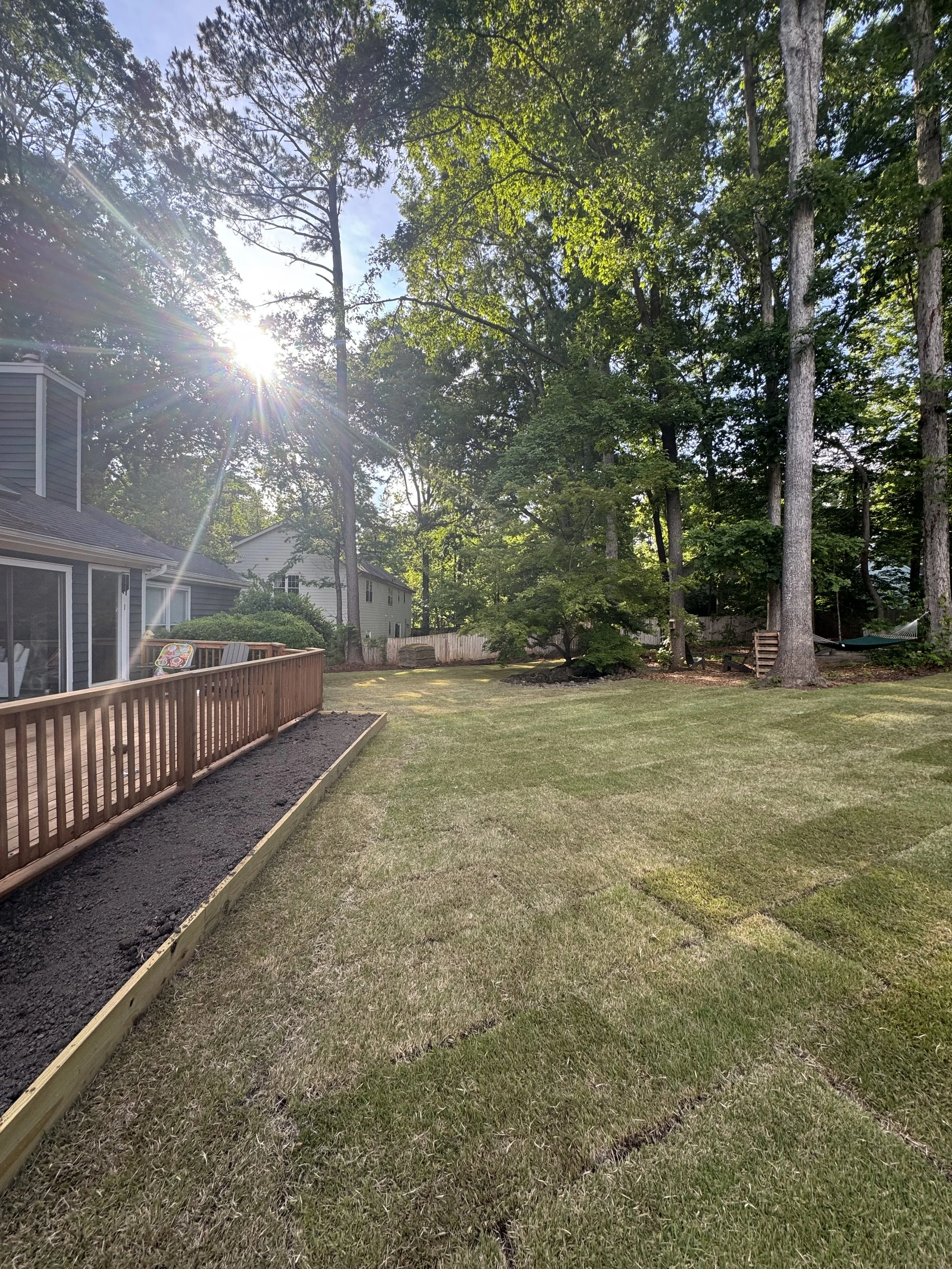 A backyard with a green lawn, a wooden fence planter along the left, tall trees providing shade, and a house with a gray exterior, with sunlight shining through the trees.