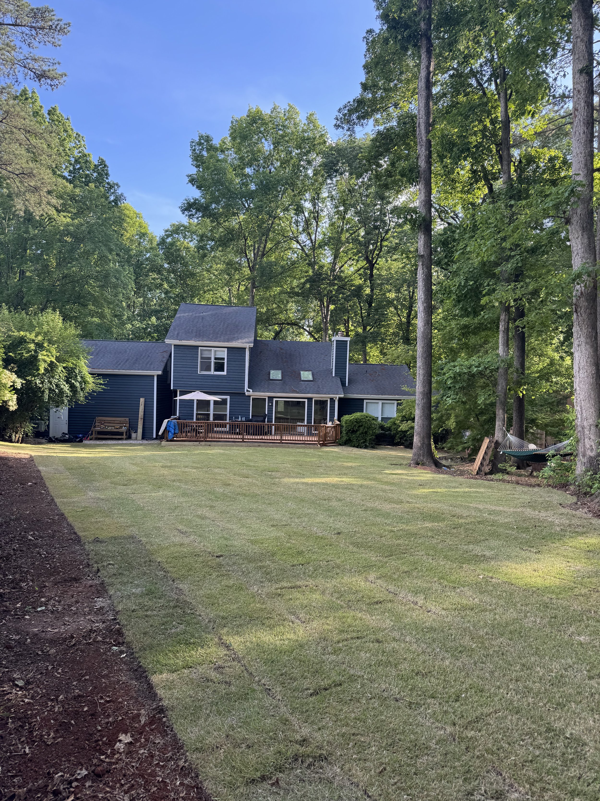A backyard with a freshly mowed lawn, tall trees, and a dark blue house with a wooden deck, outdoor furniture, a hammock, and a sliding glass door.