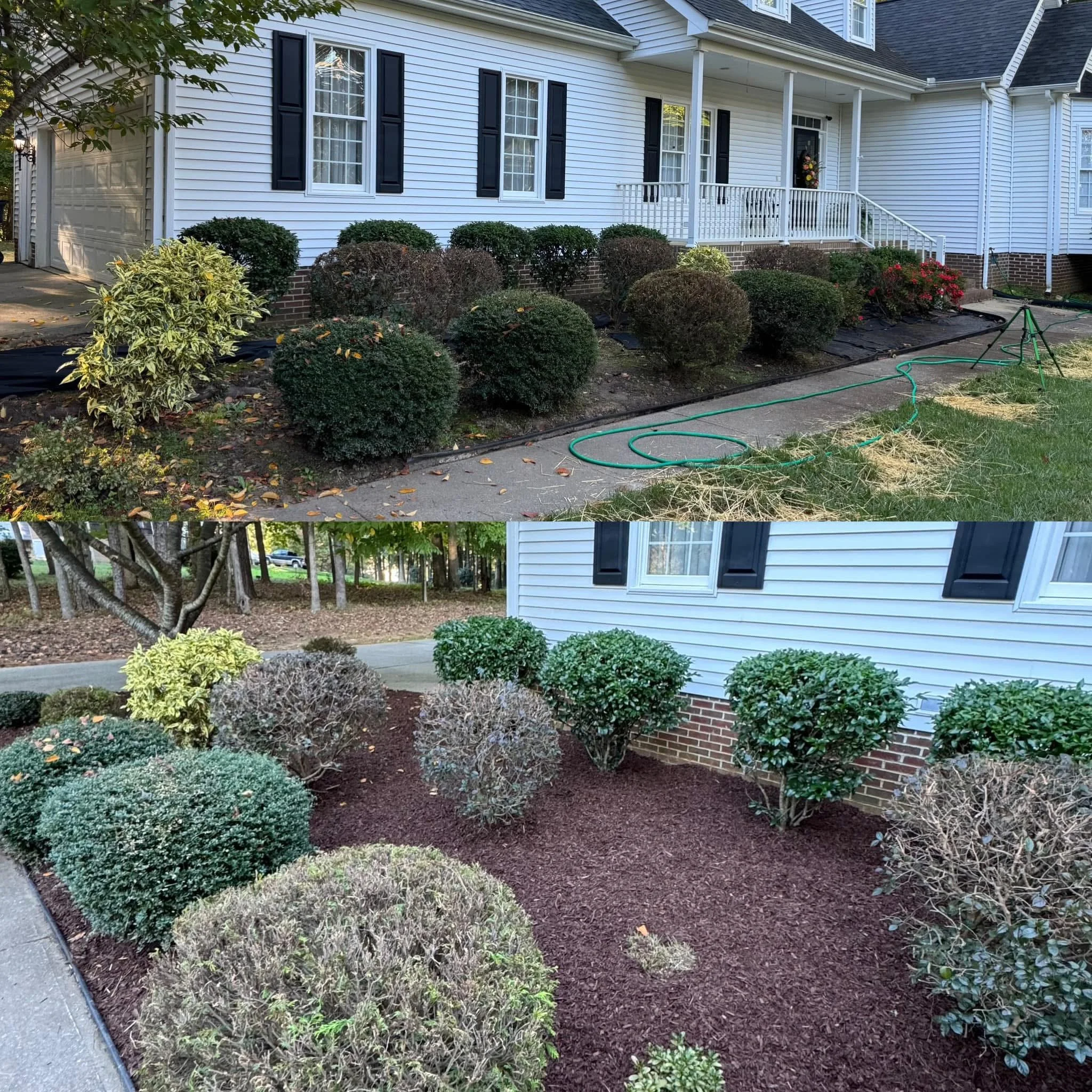 Two photos showing a house's front yard with bushes. The top photo shows the bushes before trimming, with a house in the background, while the bottom photo shows the same area after bushes have been trimmed, with a different perspective of the house'