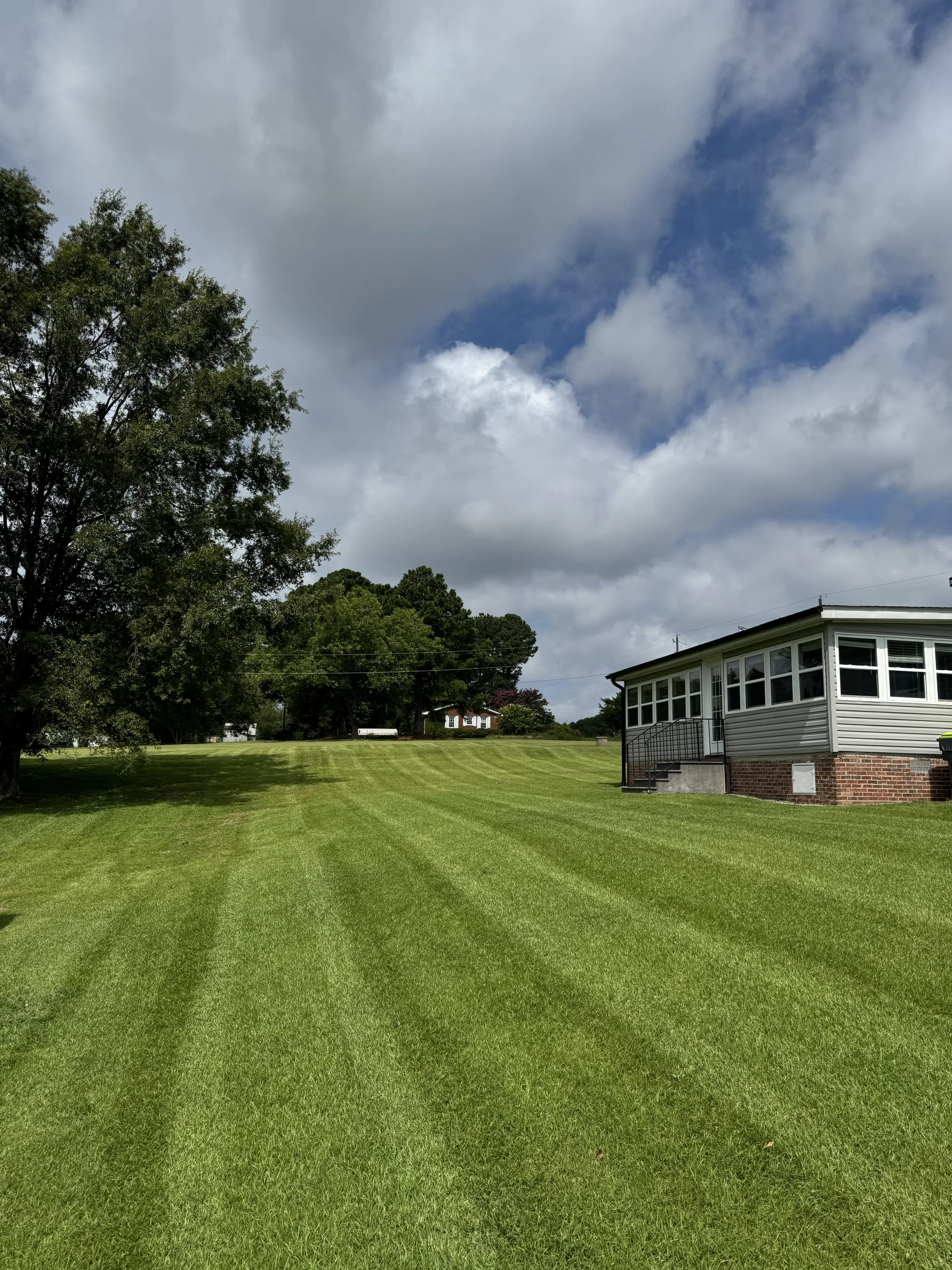 A well-maintained green lawn with striped grass, a large tree on the left, and a house with a porch on the right under a partly cloudy sky.