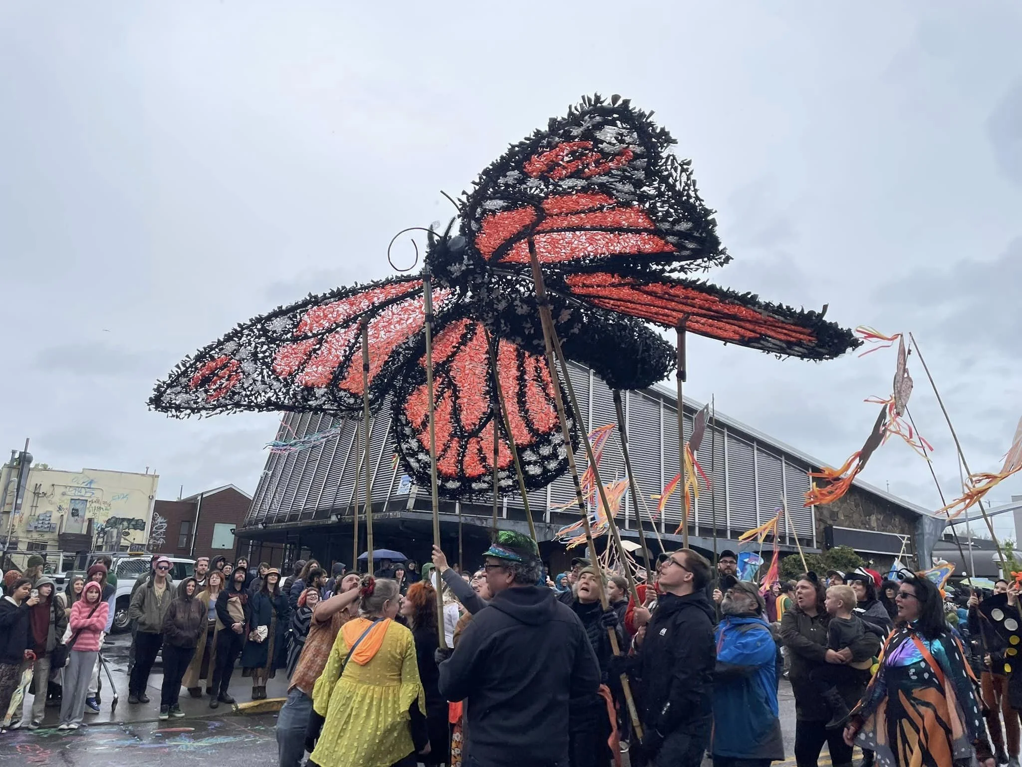 PROCESSION OF SPECIES visual data 7