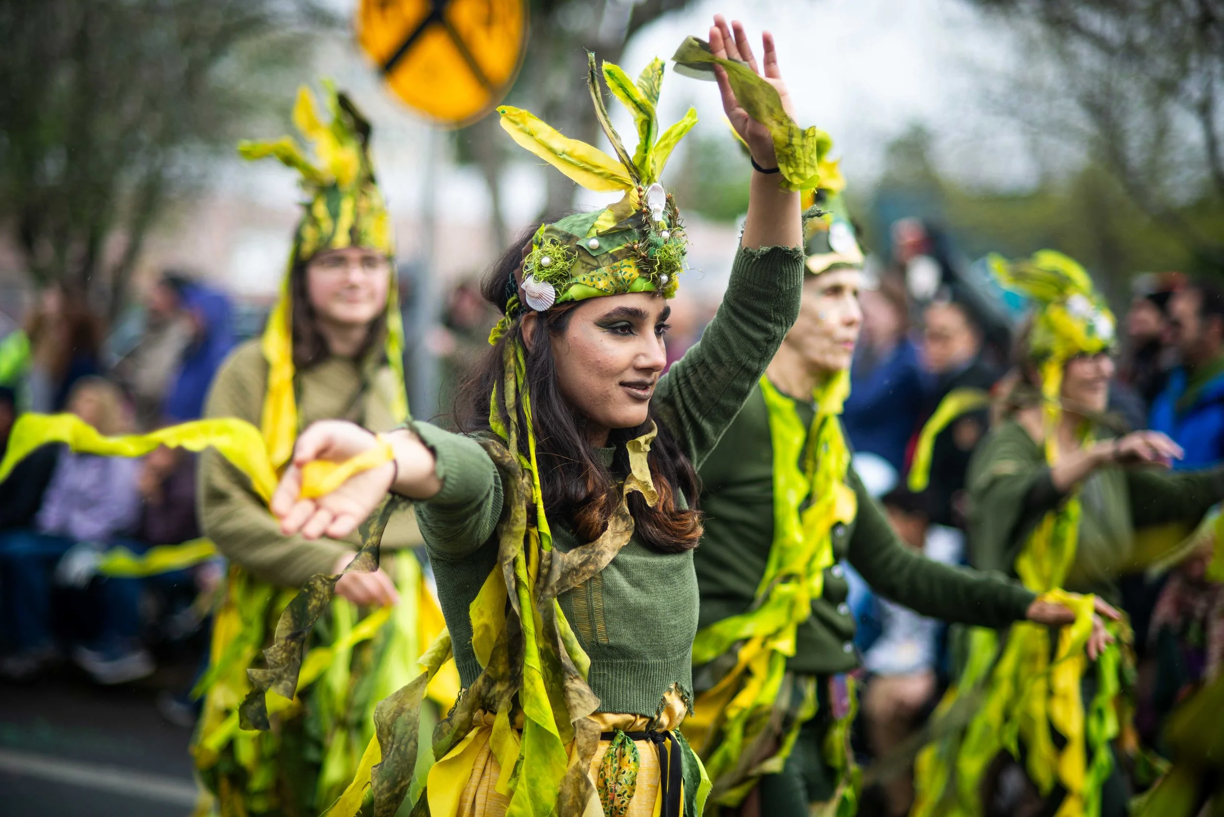 PROCESSION OF THE SPECIES 2023 visual data 3