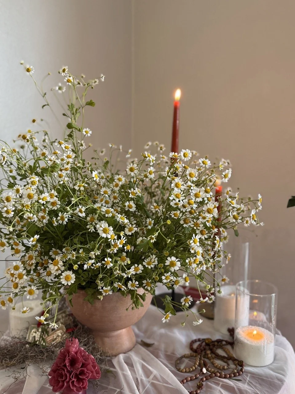 large chamomile 1.jpeg