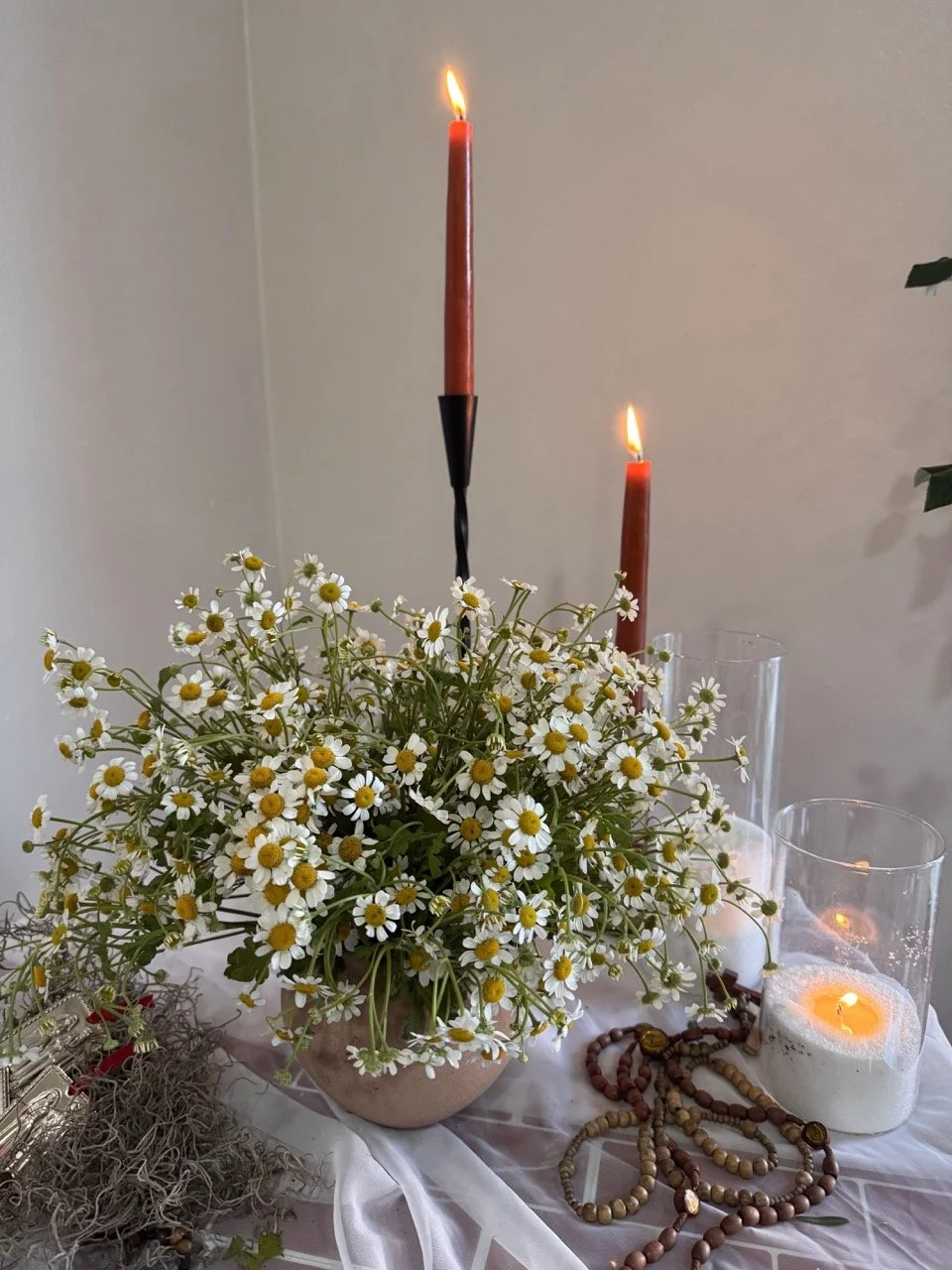 small chamomile 2.jpeg