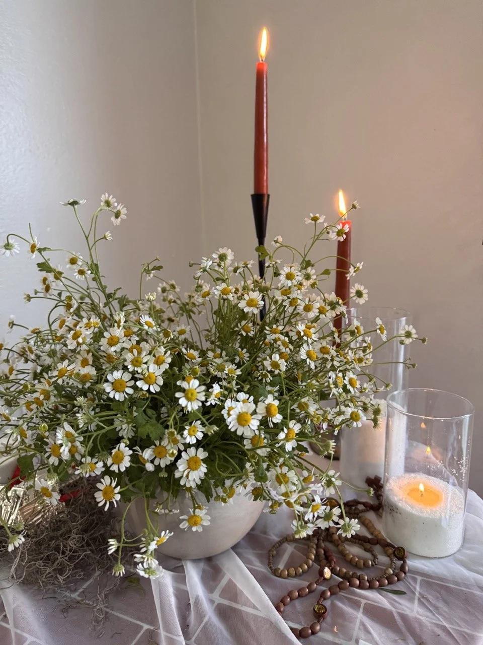 medium chamomile 1.jpeg