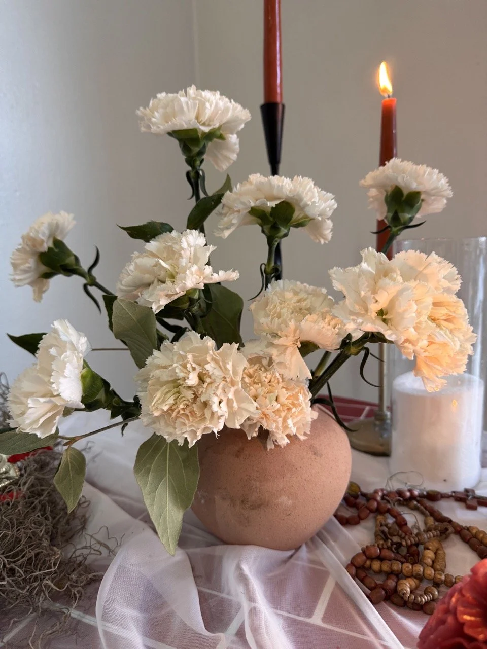 carnation small 1.jpeg