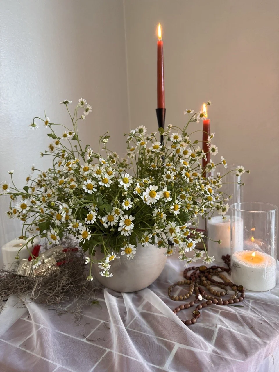 medium chamomile 3.jpeg