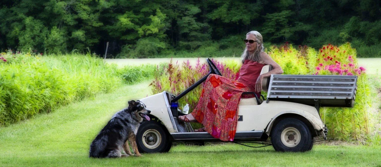 Harvest Moon Flower Farm