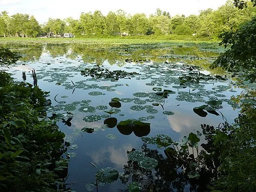 Lake Lemon