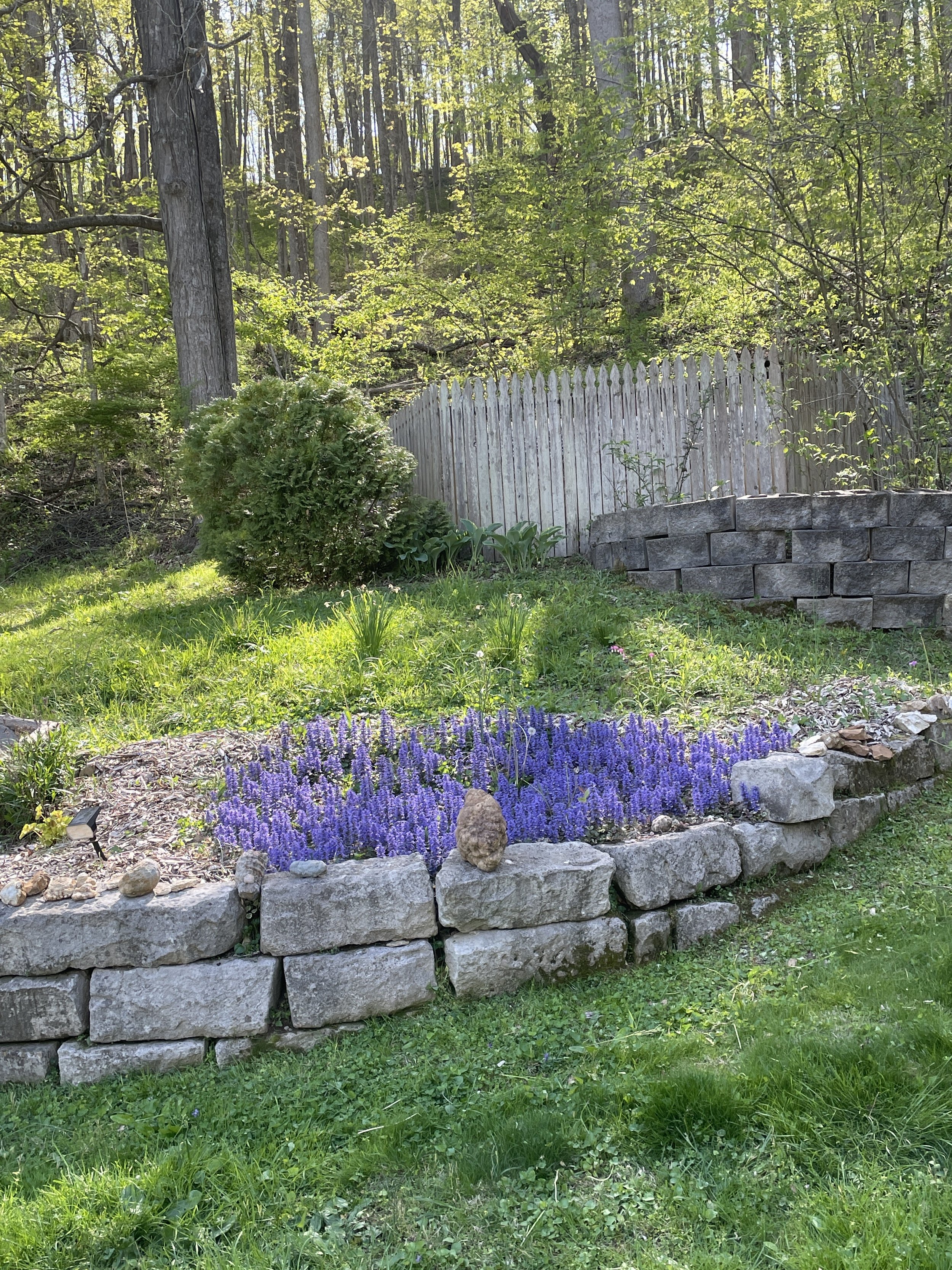 Dina Stephen's Home