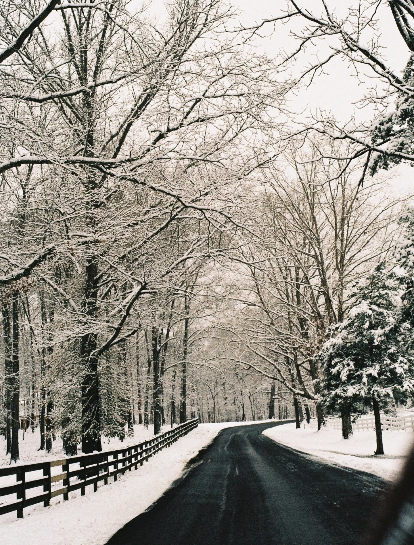 Needed a landing place from some recent film 🤍

I thrifted a Minolta for $45 in Boston months ago and it has proven to be a difficult but beautiful challenge. Many film rolls have come back blank or simply overexposed. Learning how to use this camer