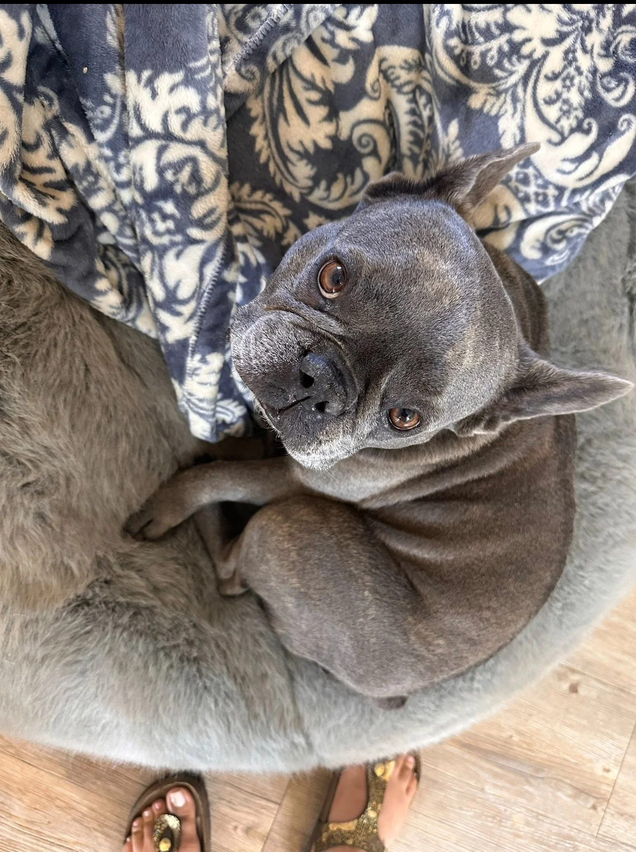 Love, Valentine’s Day, and&nbsp;The Love that was Sitting Beside Me