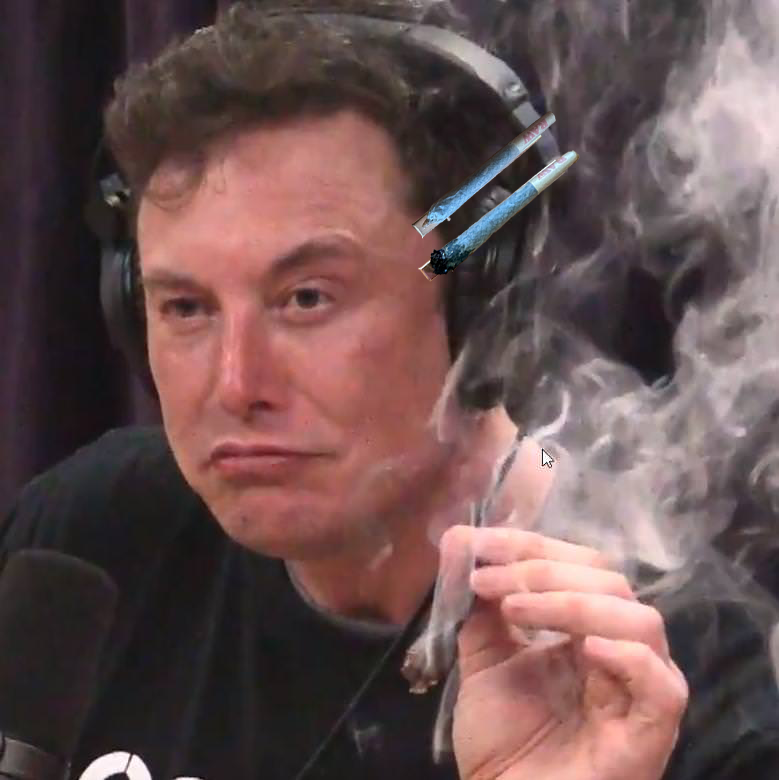 elonmusklol.png