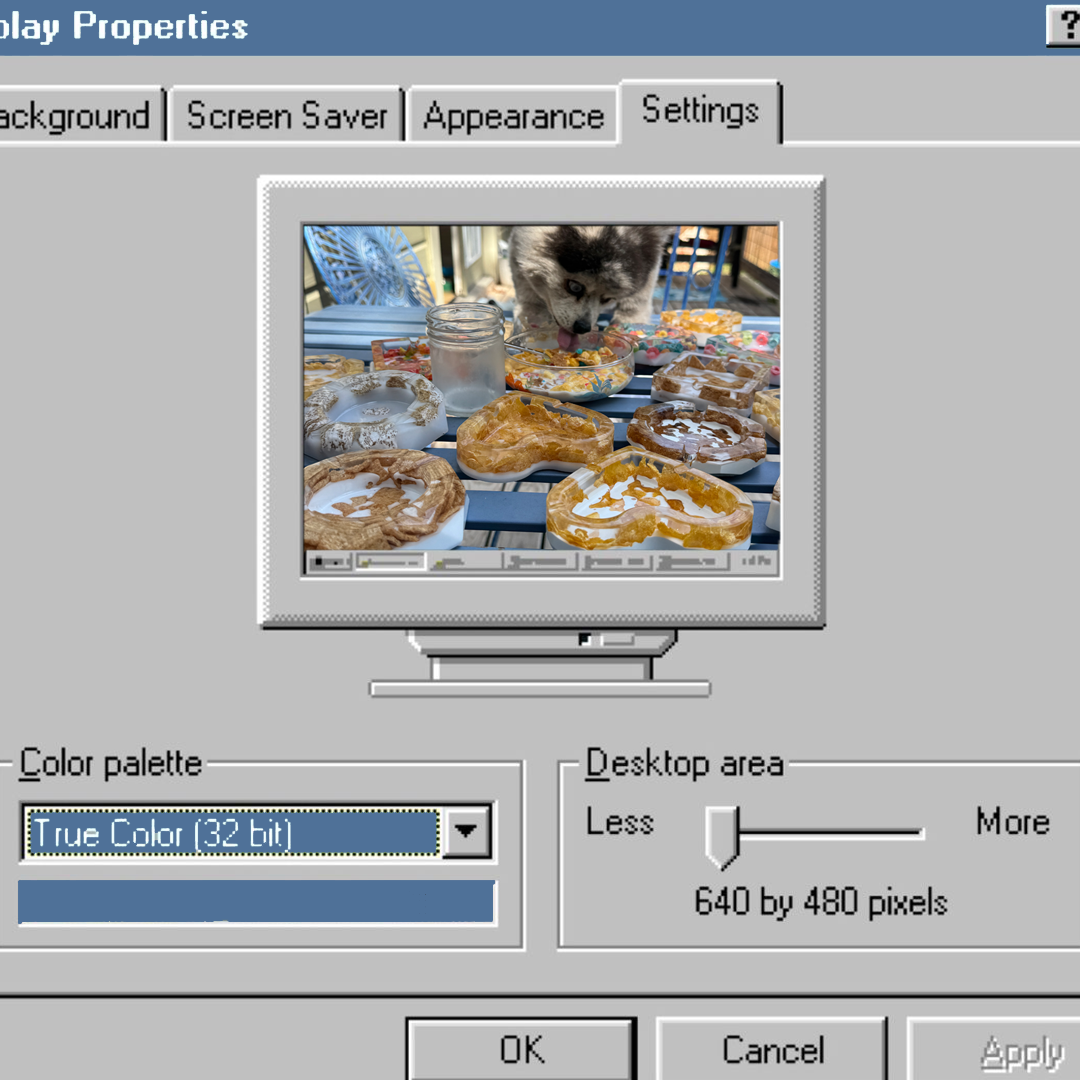 rogioncomputerscreen.png