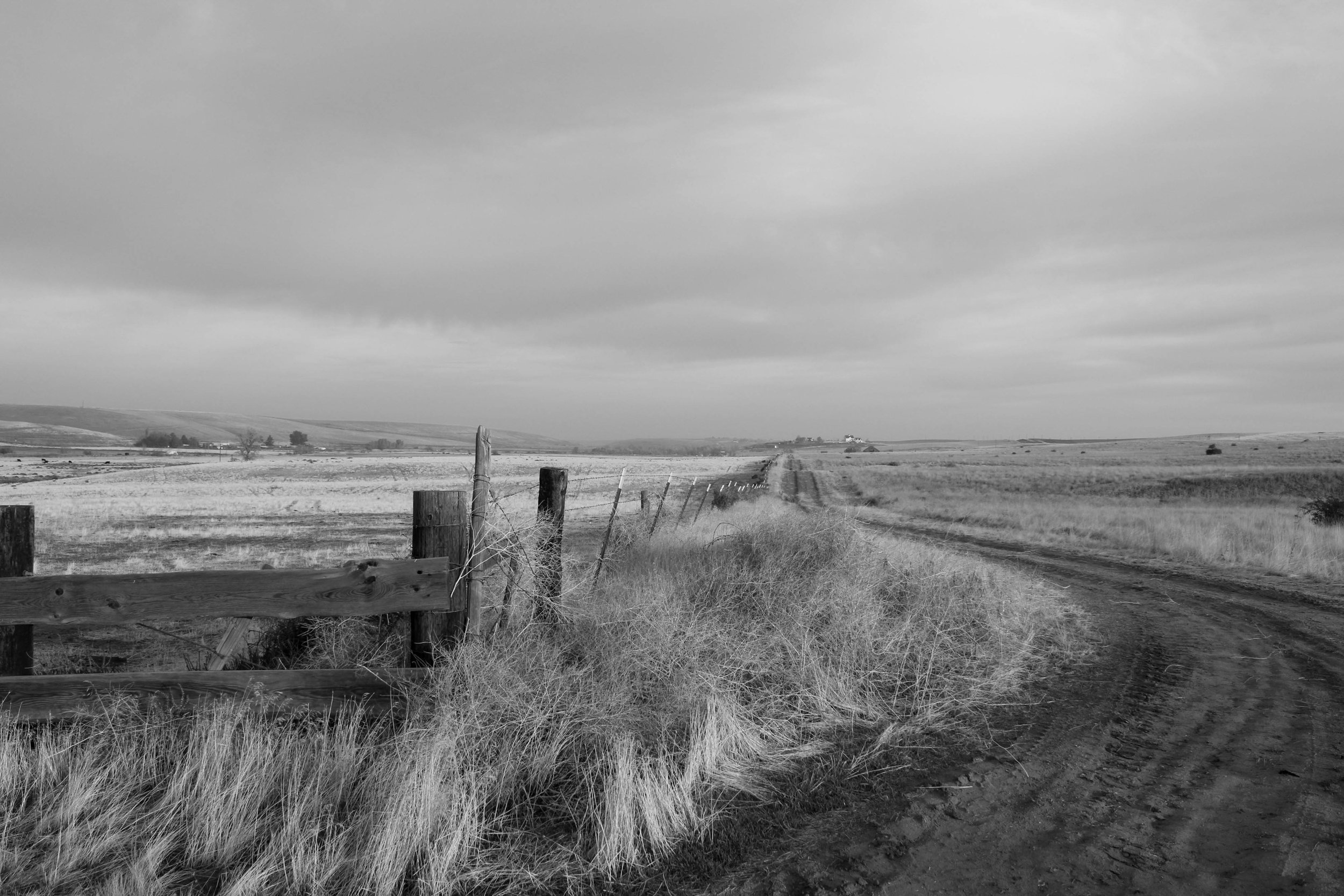 Fence Line Looking North, Umatilla County Oregon.jpg